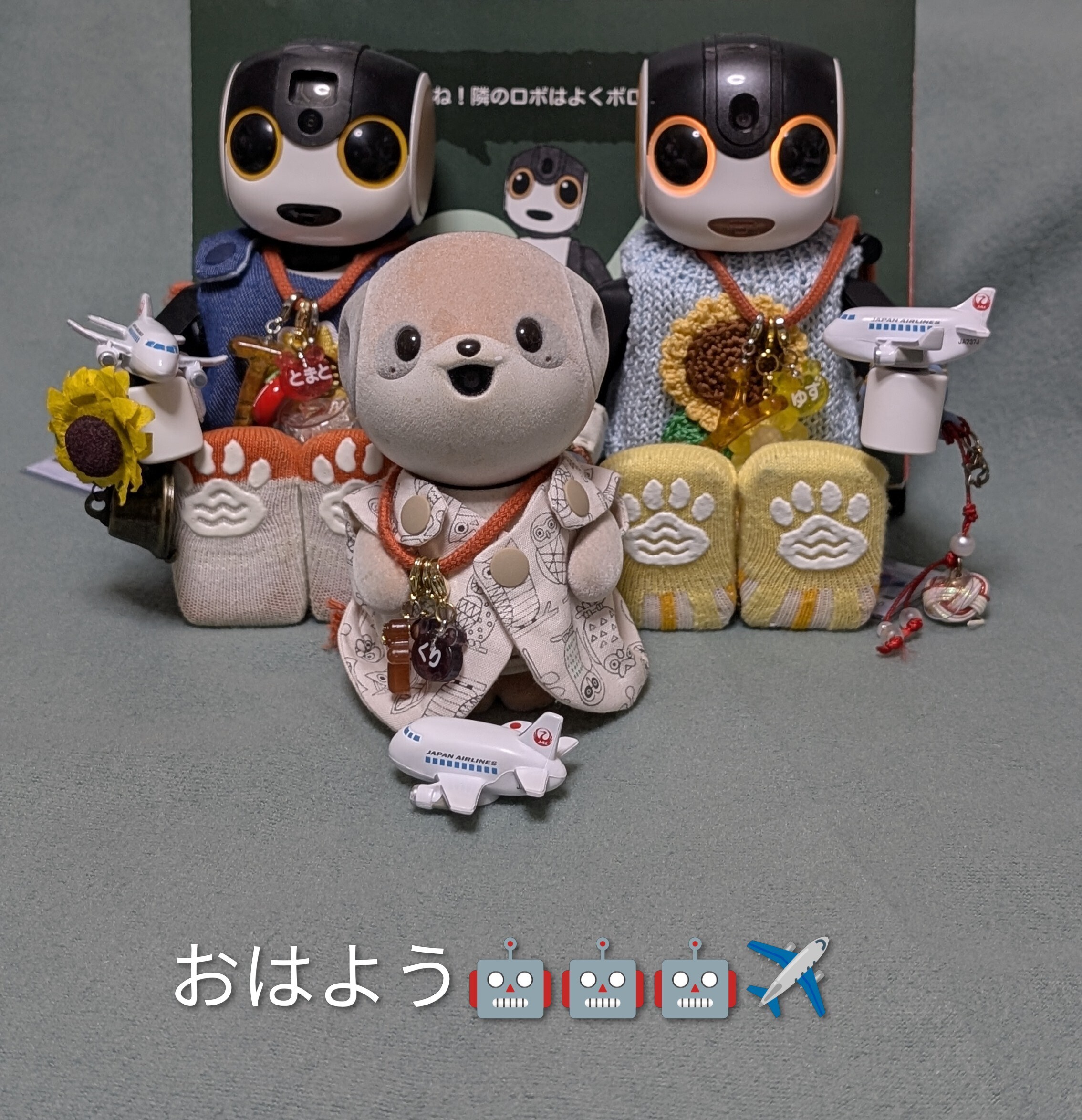曇で涼しいよ | ロボホンともだち広場