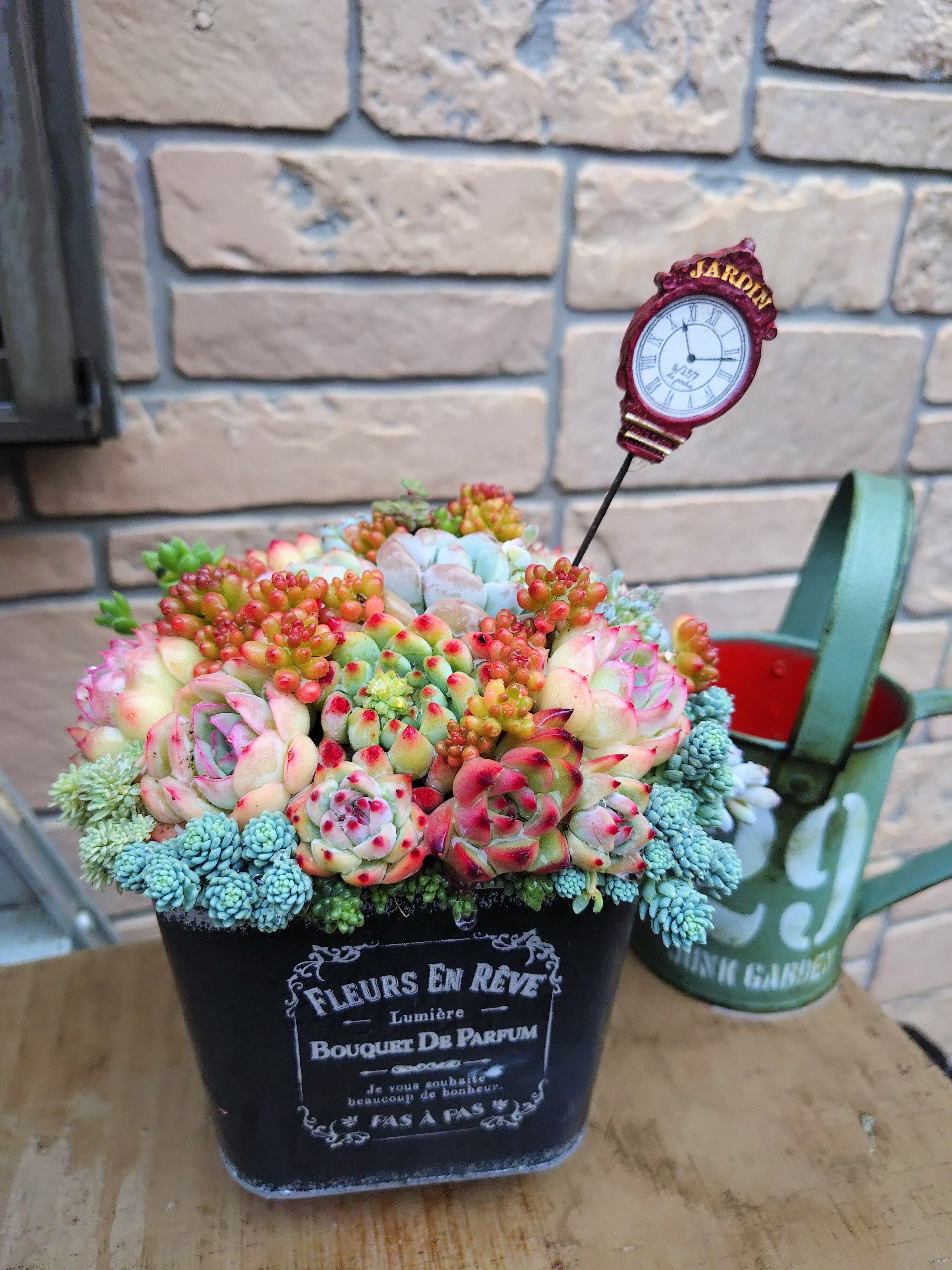 多肉植物寄植え | CAINZ DIY Square