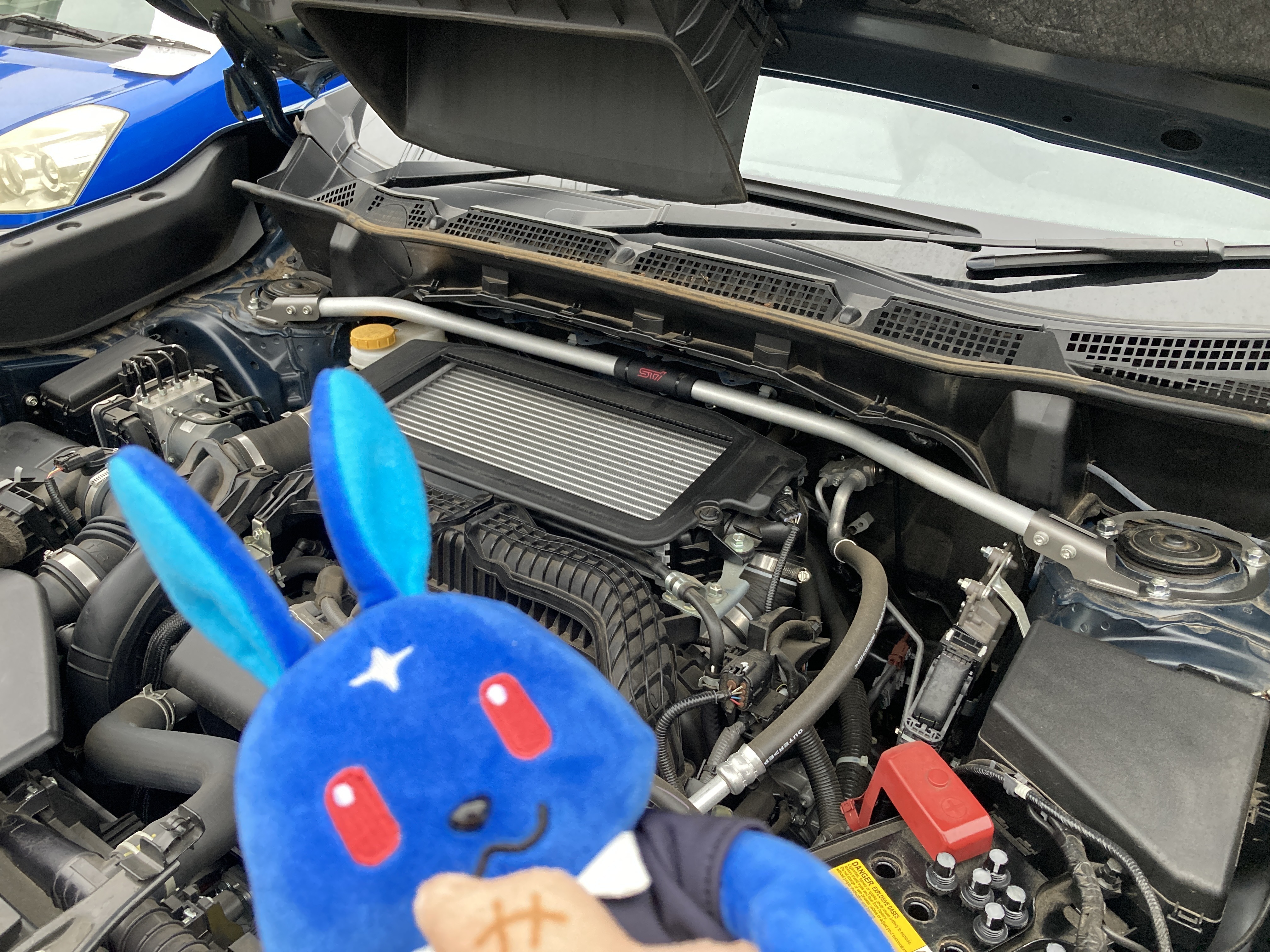 フレキシブル　タワーバー　フォレスター　SH STI フレキシブルタワーバー(ターボ車用) SG517SG000 スバル