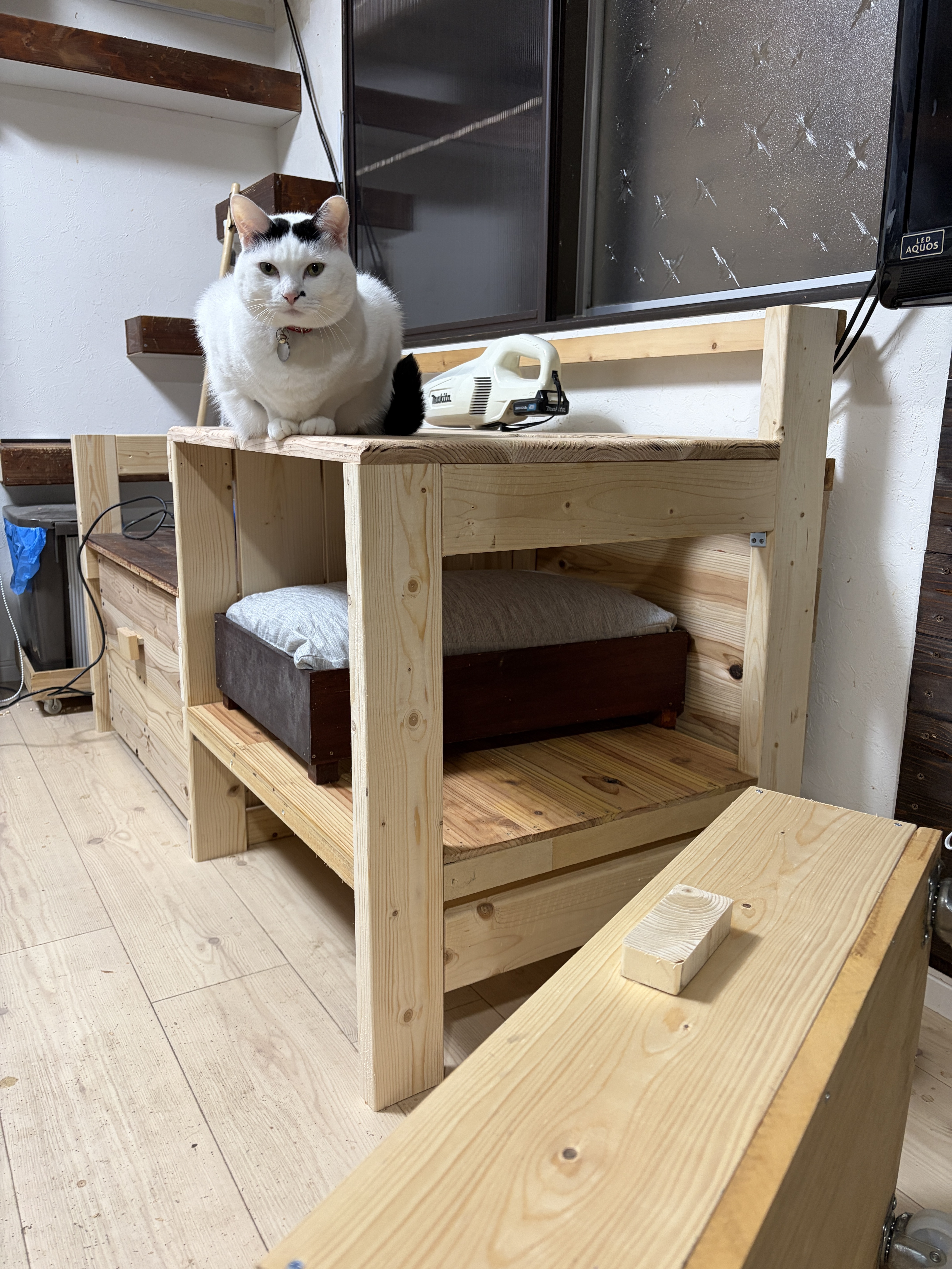 常に細かい事で揉める猫たちのために vol.1/2