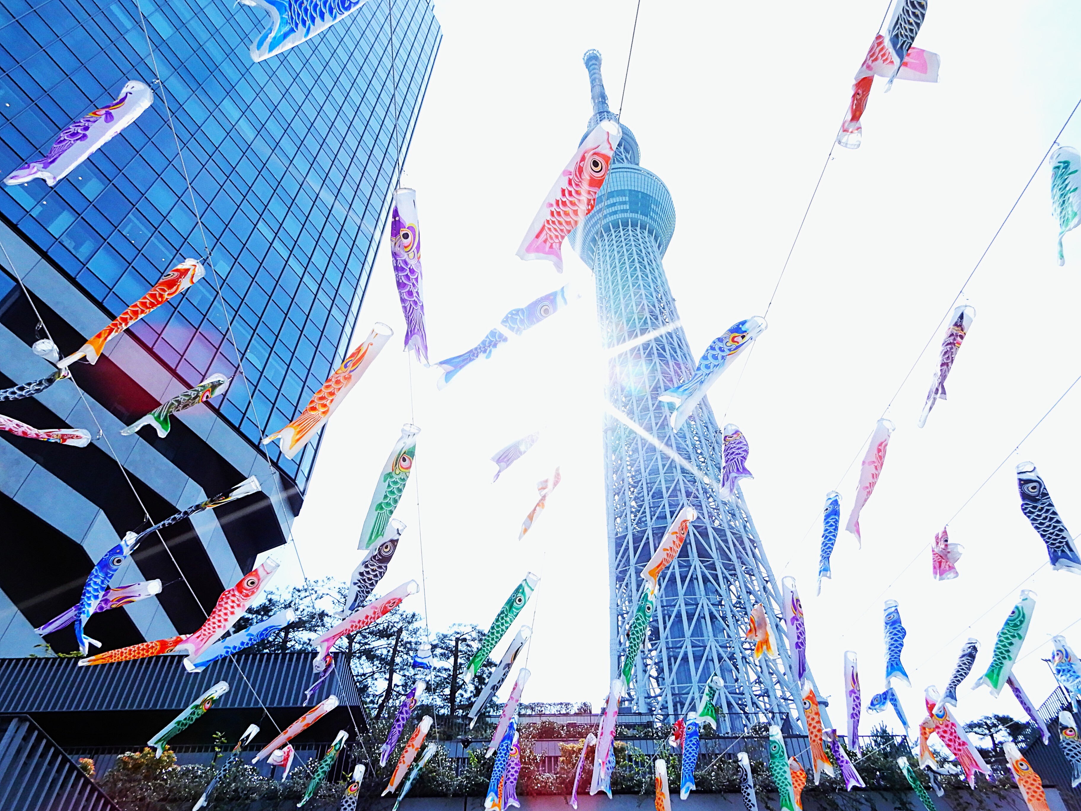 こいの・・ぼり？？ | PHOTO HUB by nikkor club