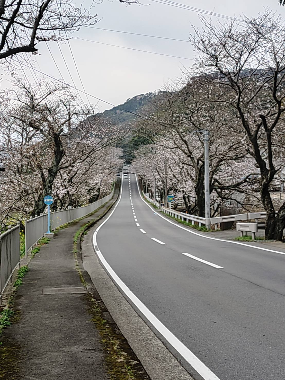 fffa1dc2-b6be-453b-8217-