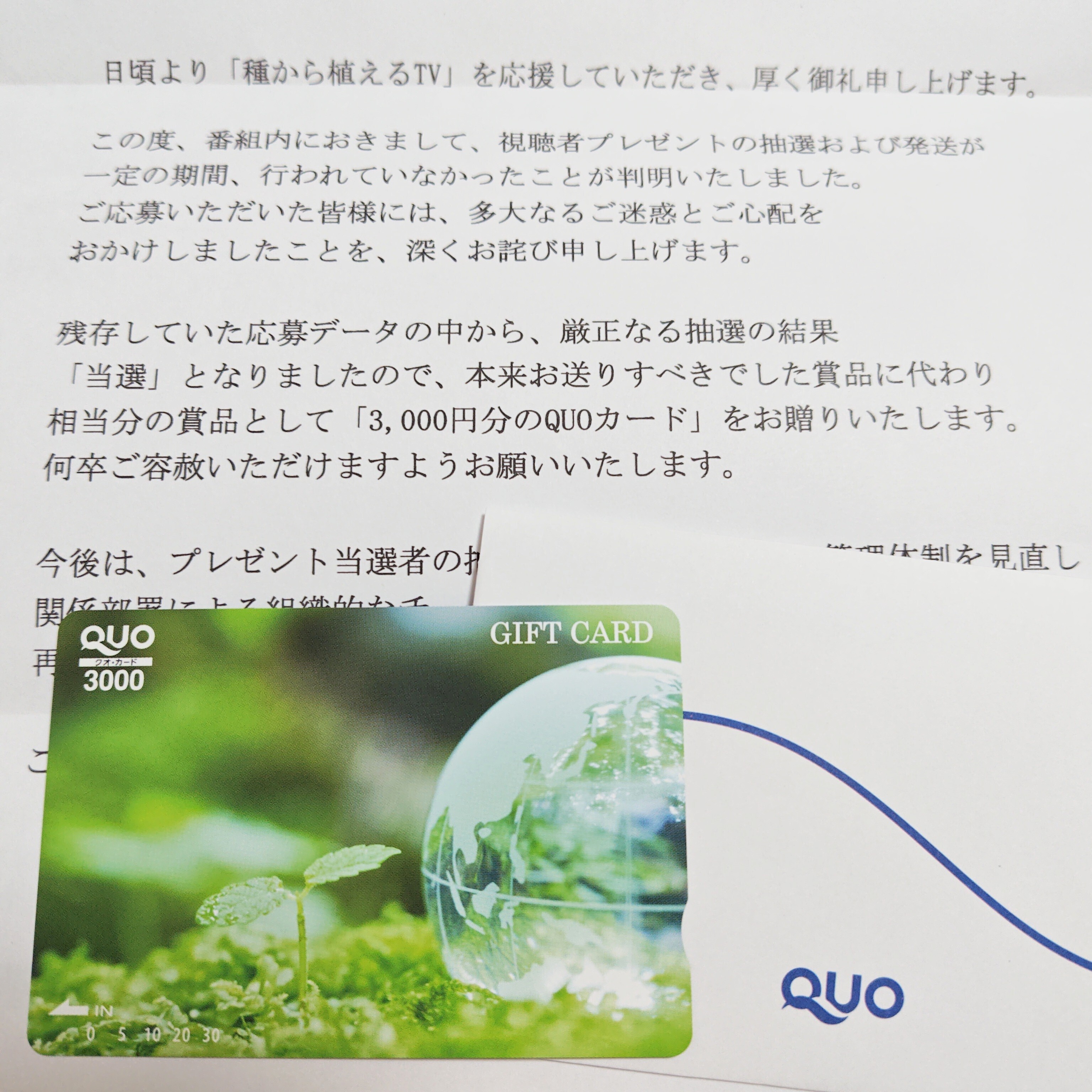 突然QUOカード | 健康道場クラブ