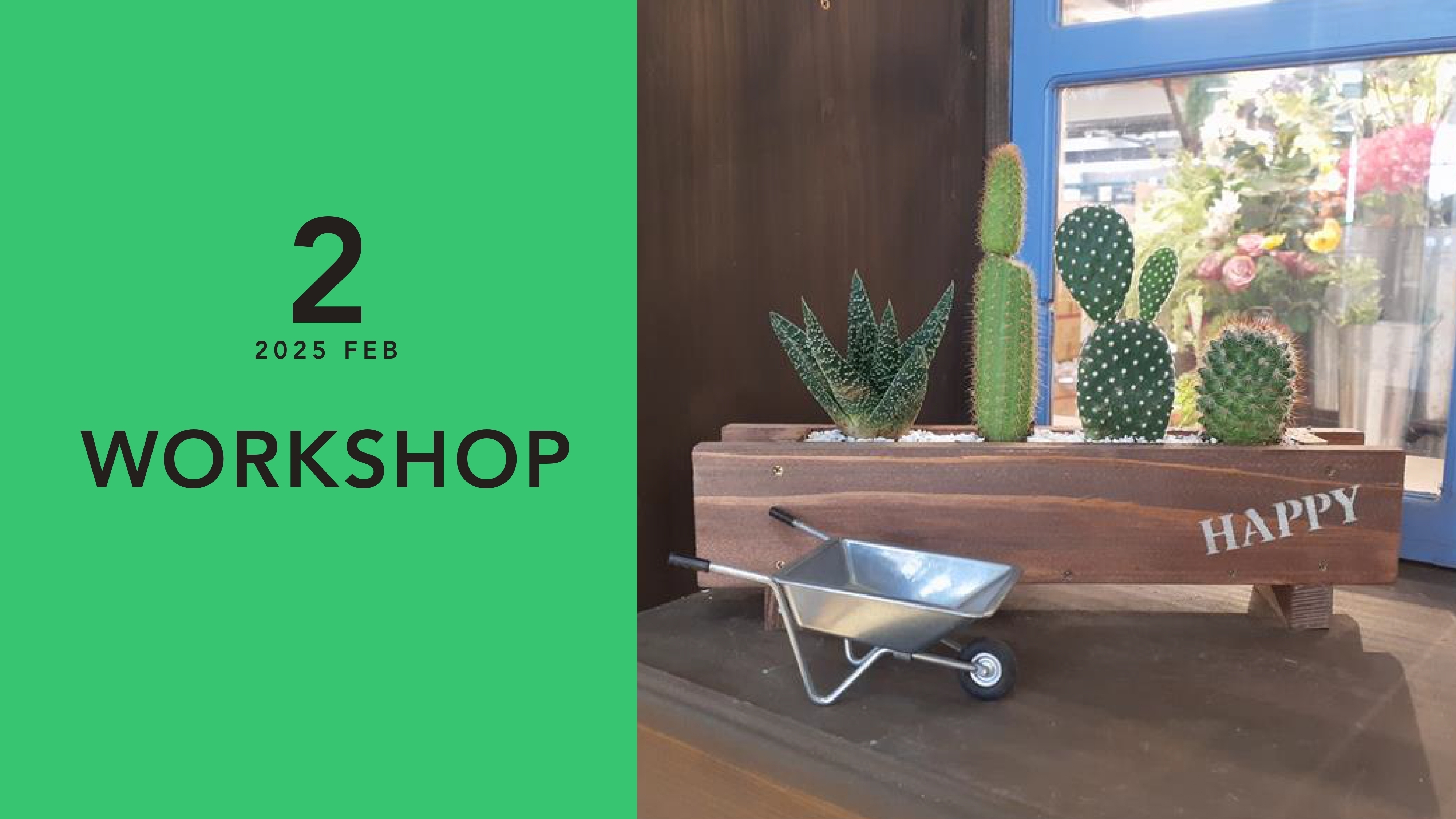 横長プランターとサボテンの寄せ植えのご紹介🌵 | CAINZ DIY Square