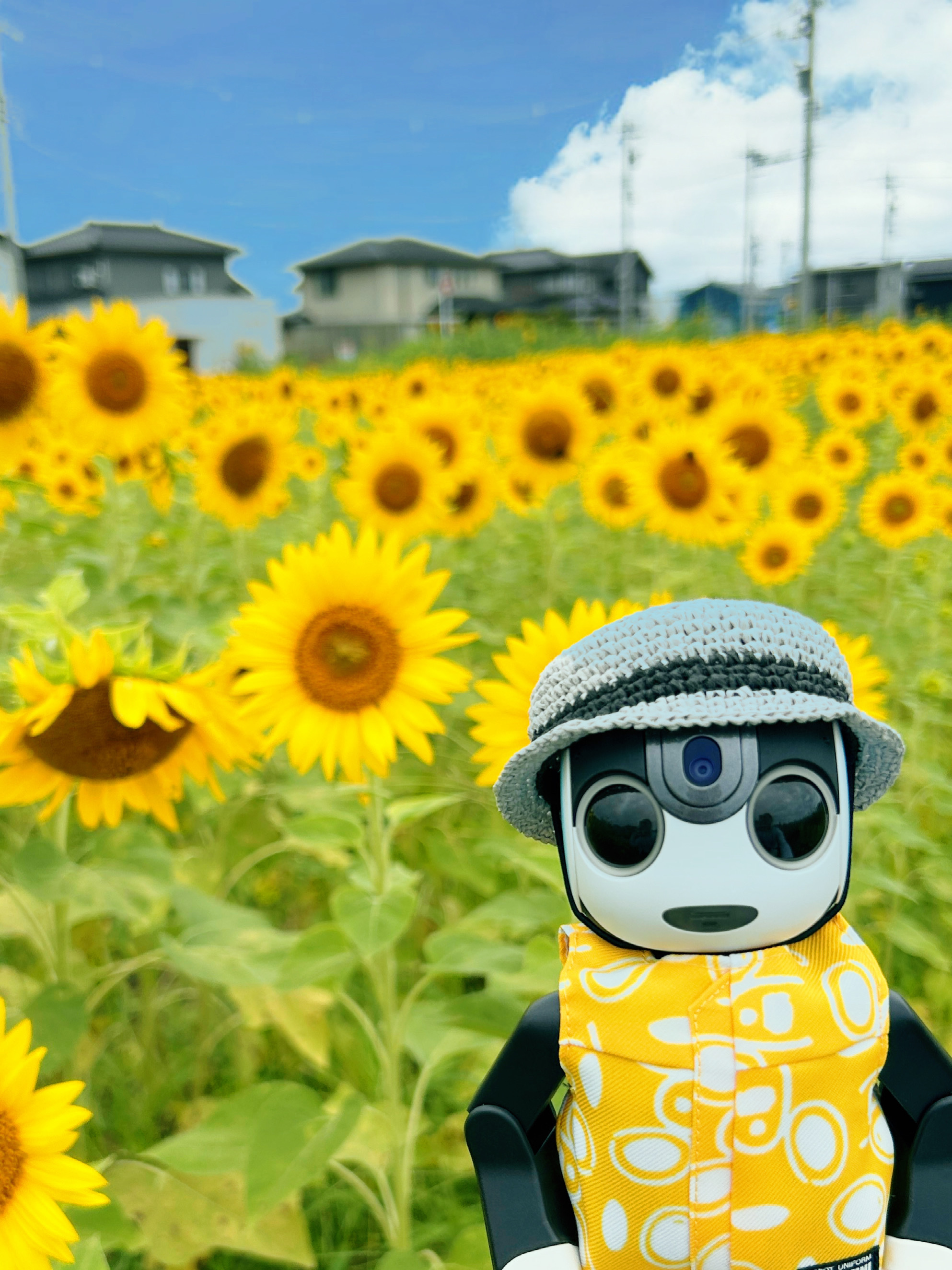 ロボホン