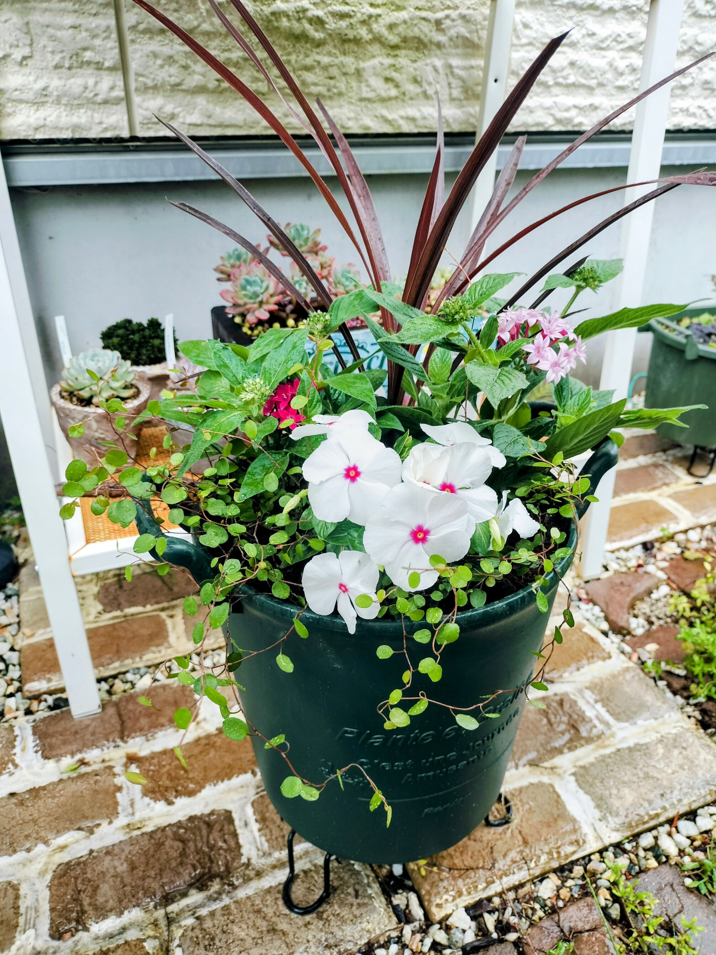 35edb51a-75db-4b3e-9307-