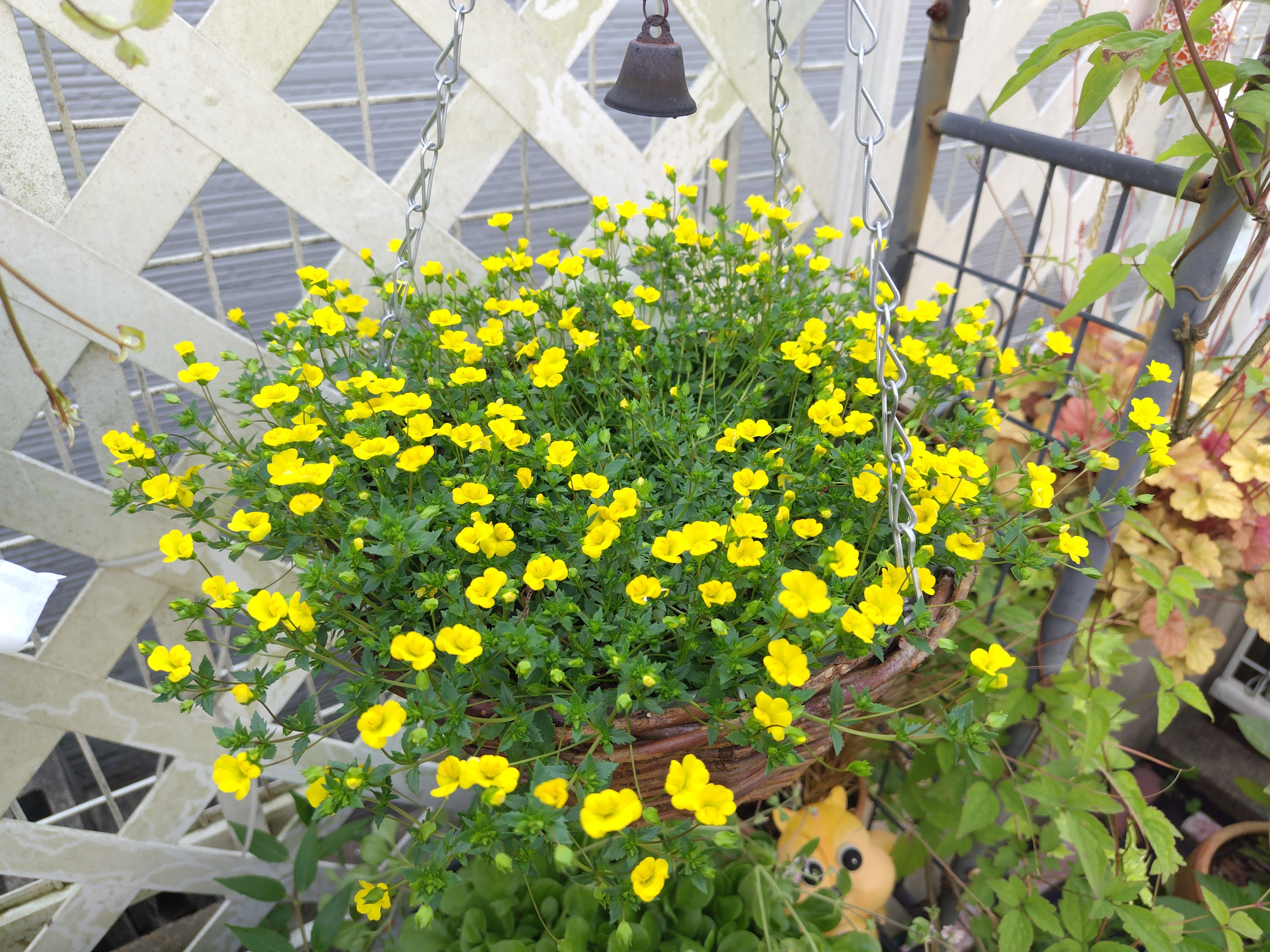 fe48cc8a-3c6a-4dc0-b617-