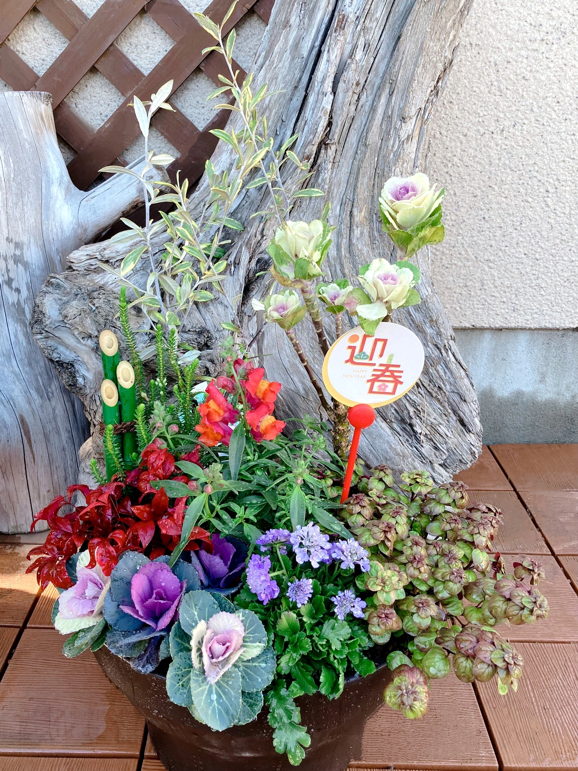 寄せ植えお手伝い | CAINZ DIY Square