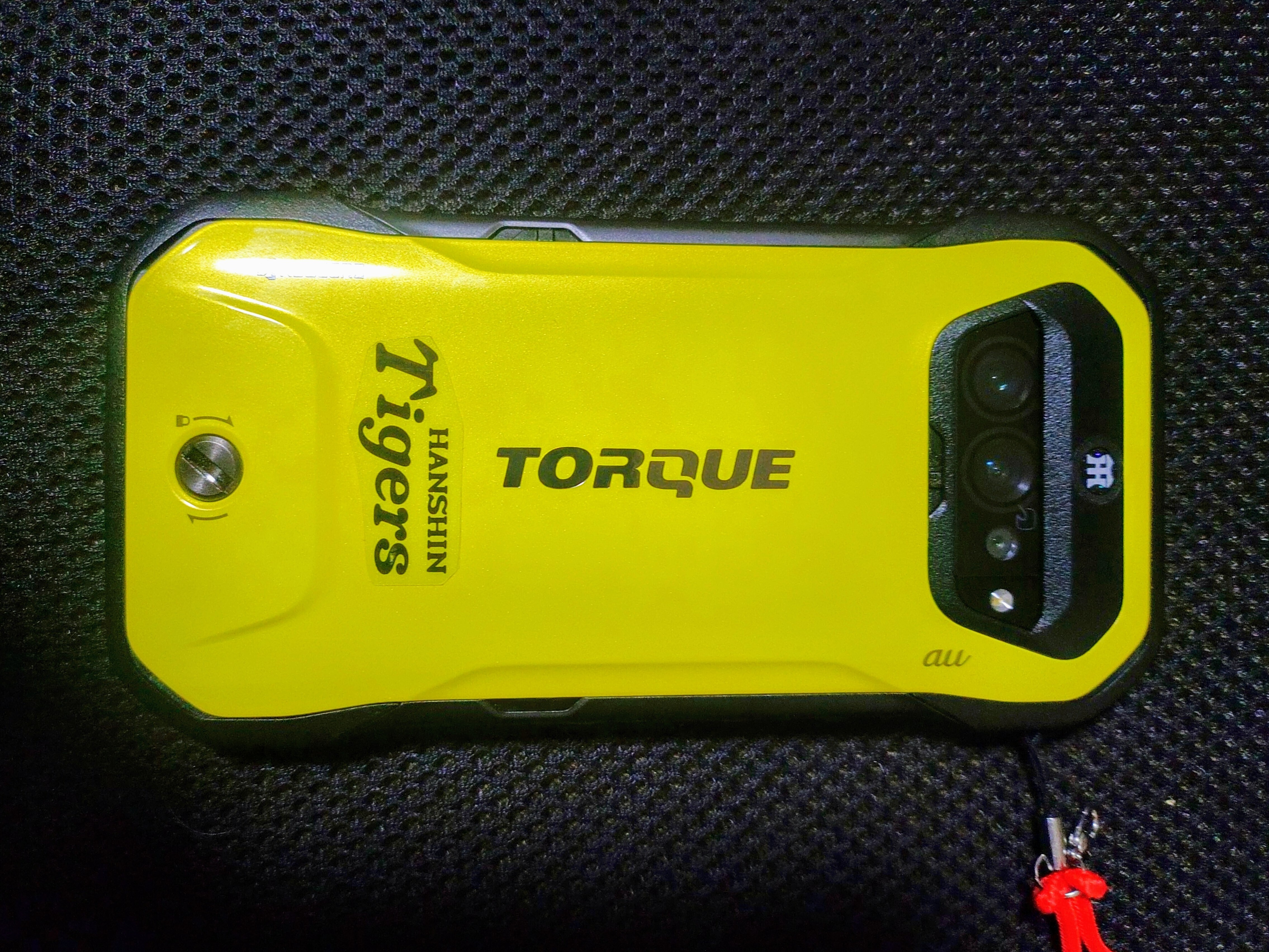 黄色を待ってました。 | TORQUE STYLE