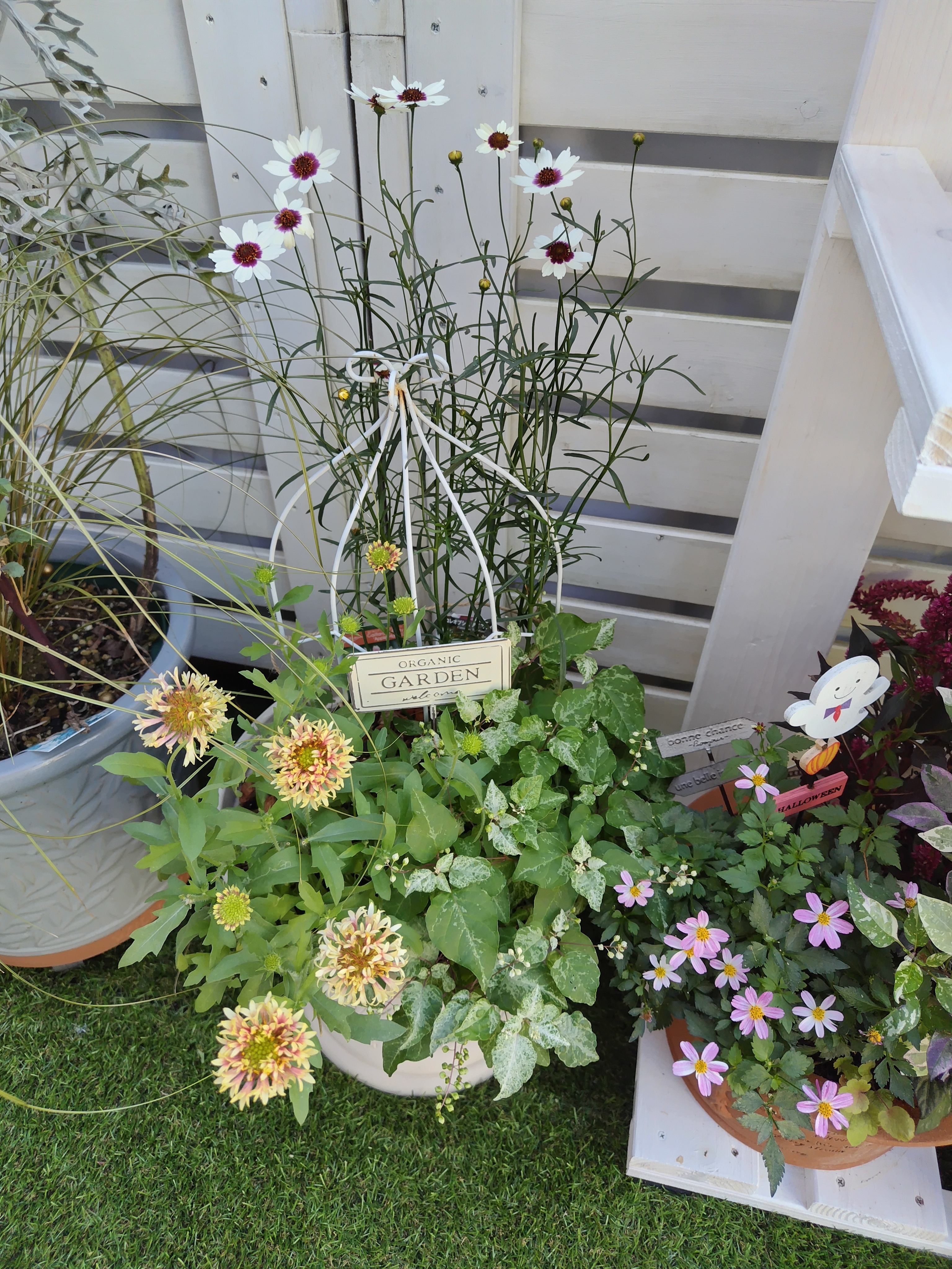 秋の寄せ植え③ | CAINZ DIY Square