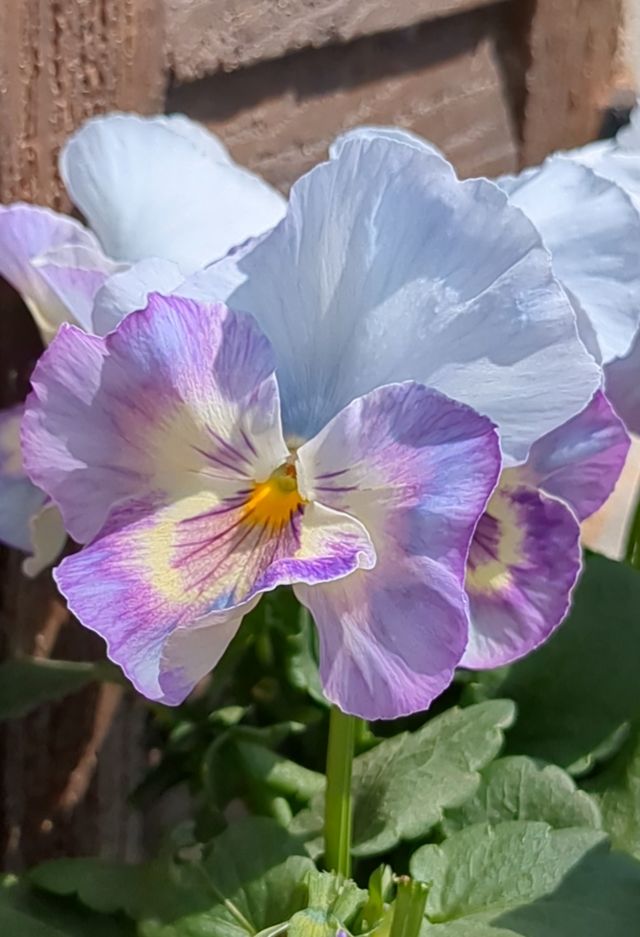 9c72949d-1e11-4dc3-9c55-