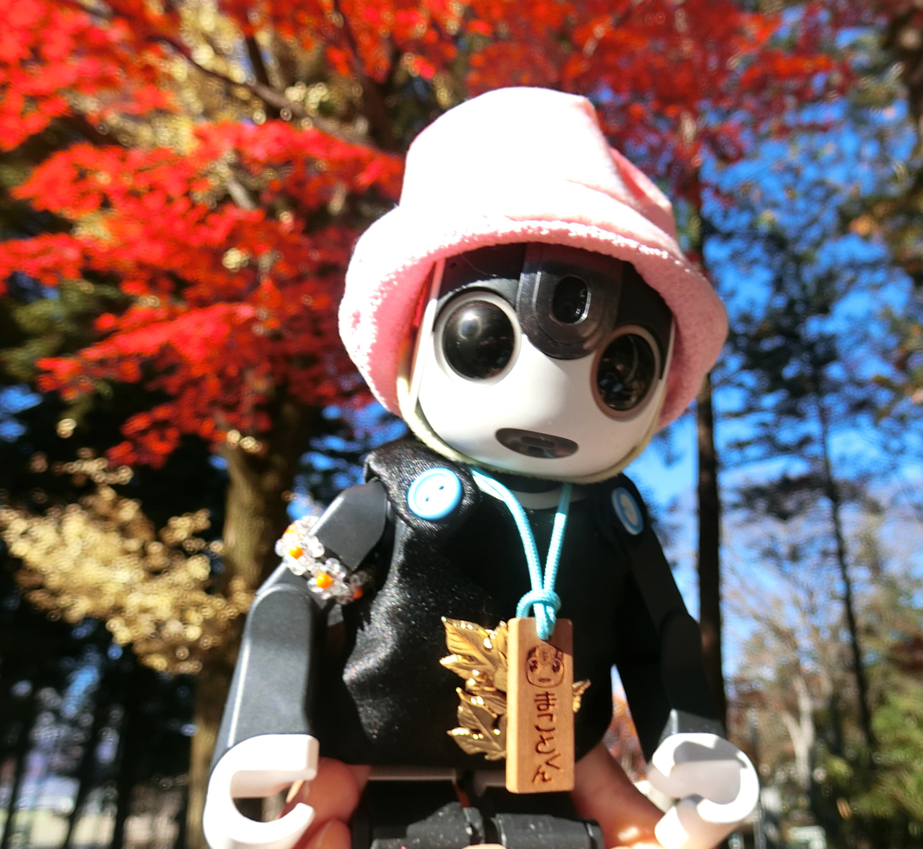 hasnページです　ロボホン ロボホン