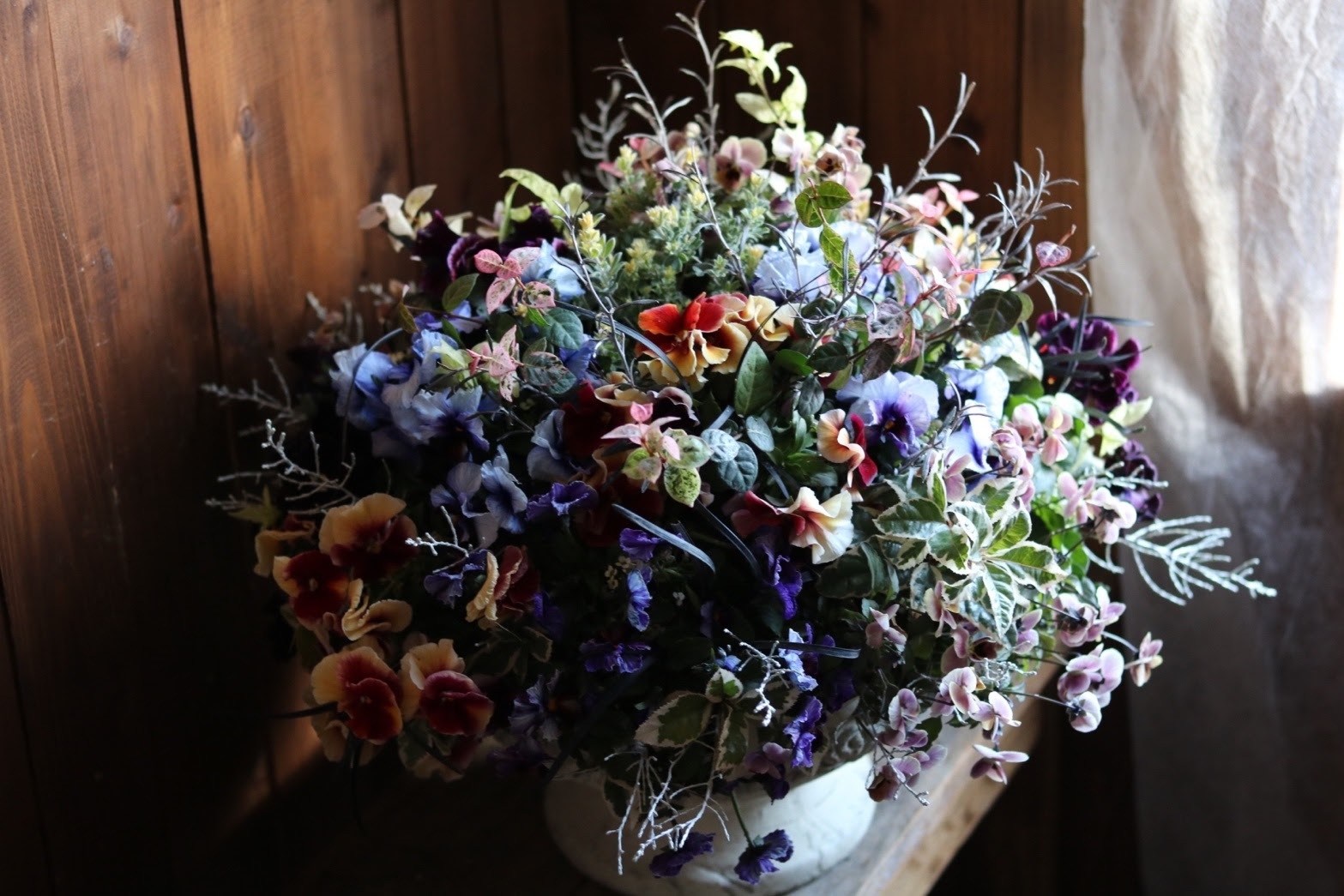 寄植えギャザリング～マウント篇 | CAINZ DIY Square