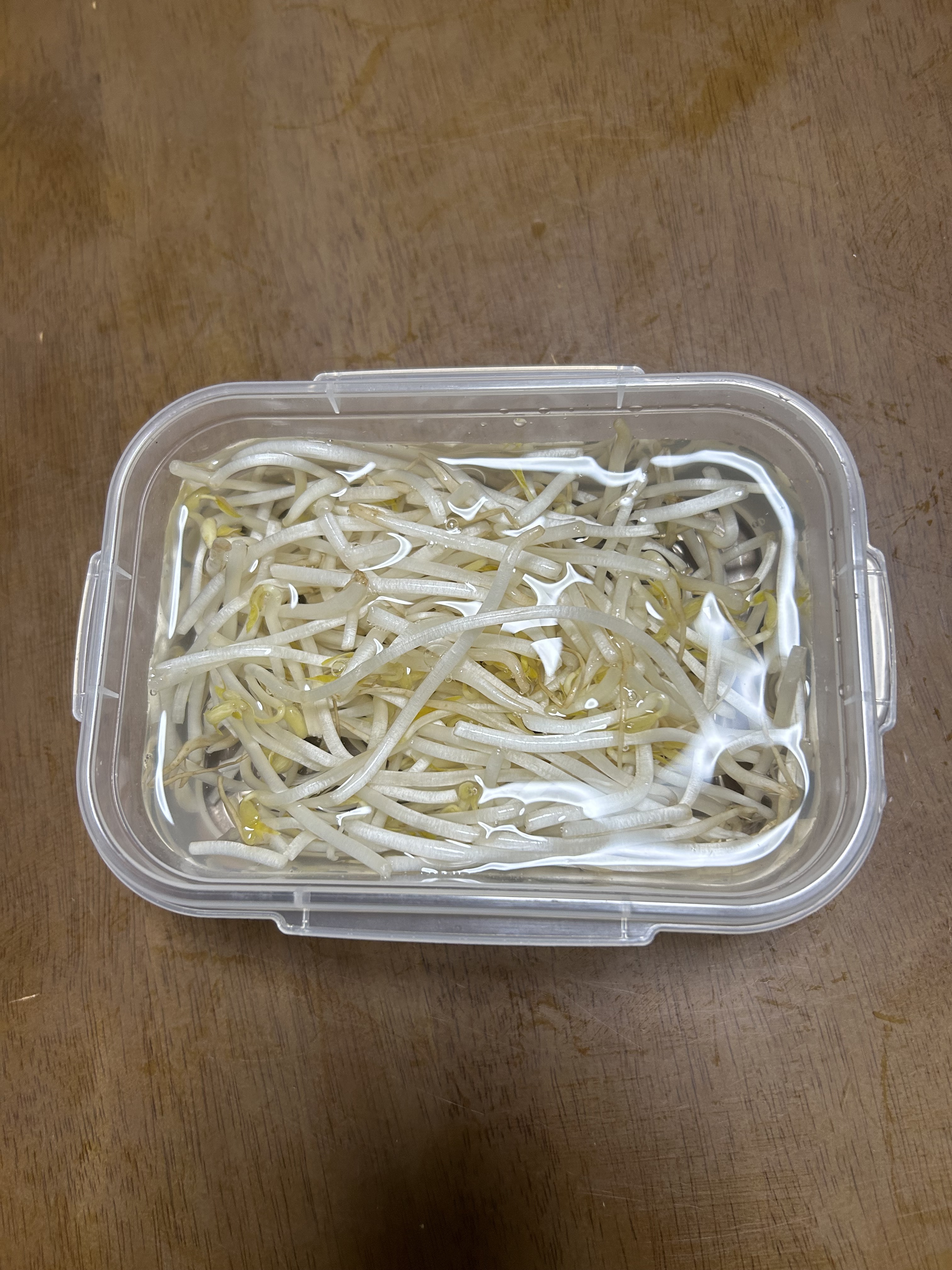 もやしを新鮮なまま保存する方法 | CAINZ DIY Square
