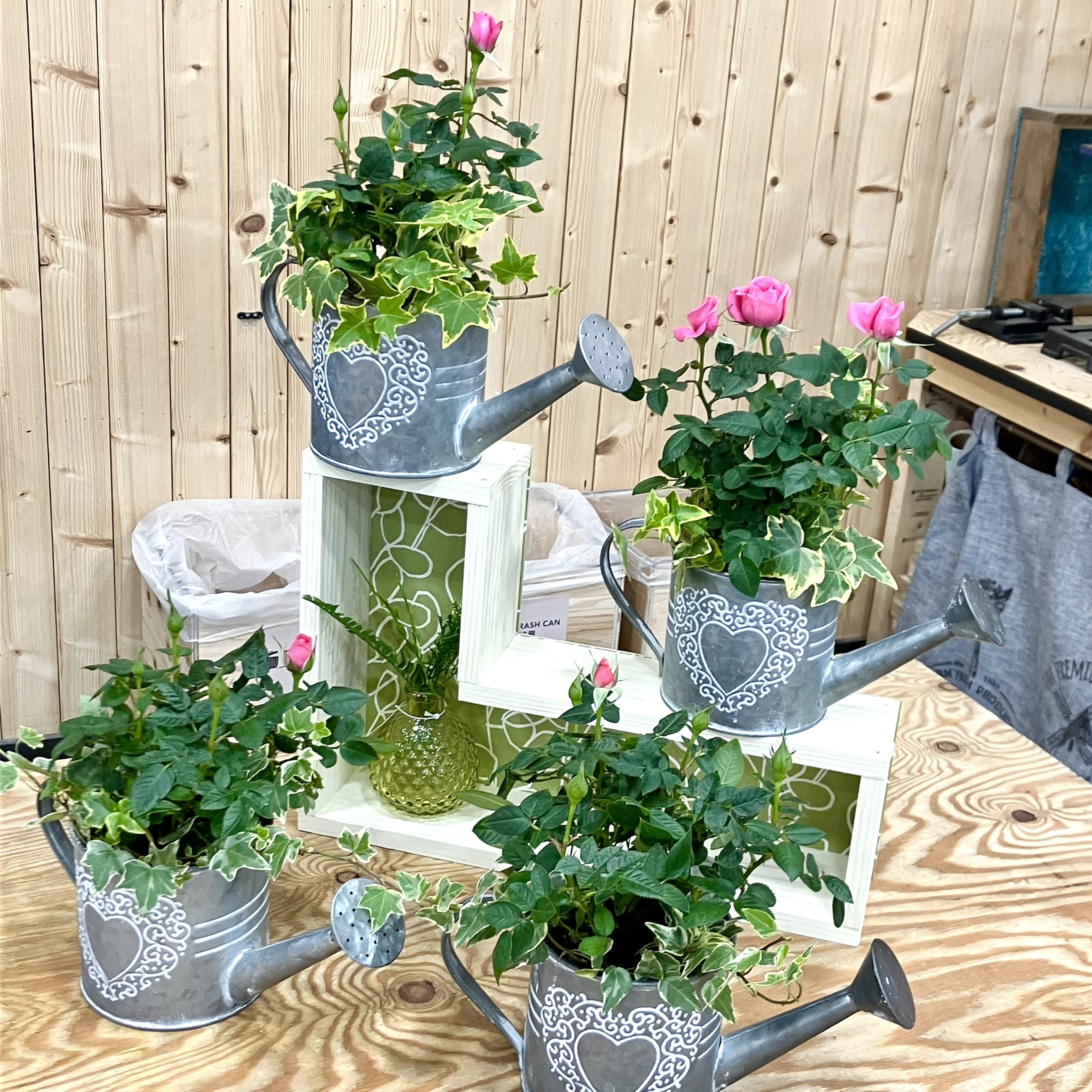 ブリキポットのミニバラ寄せ植え🌹 | CAINZ DIY Square