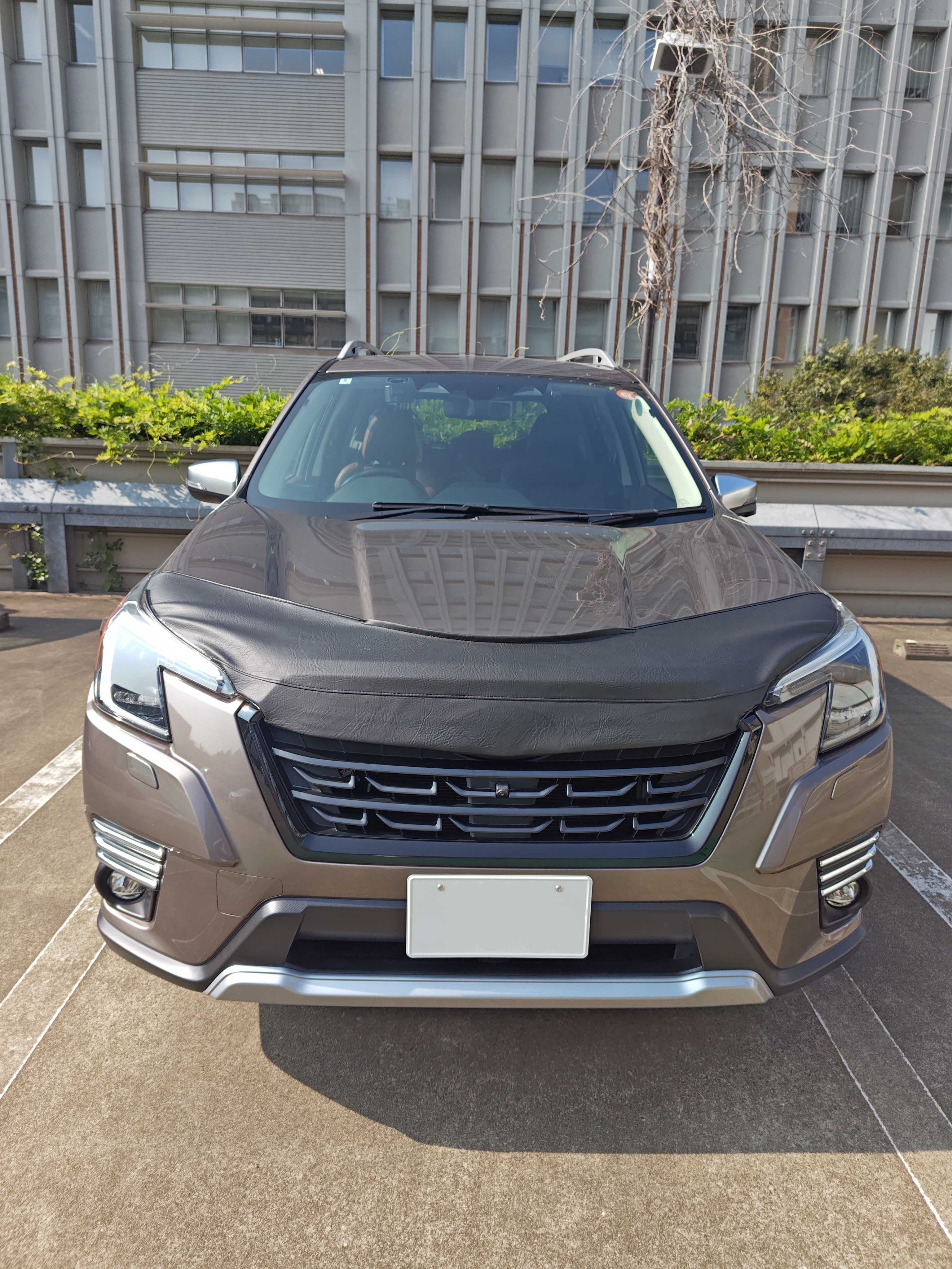 ノーズブラ | スバ学＜SUBARU公式ファンコミュニティサイト＞