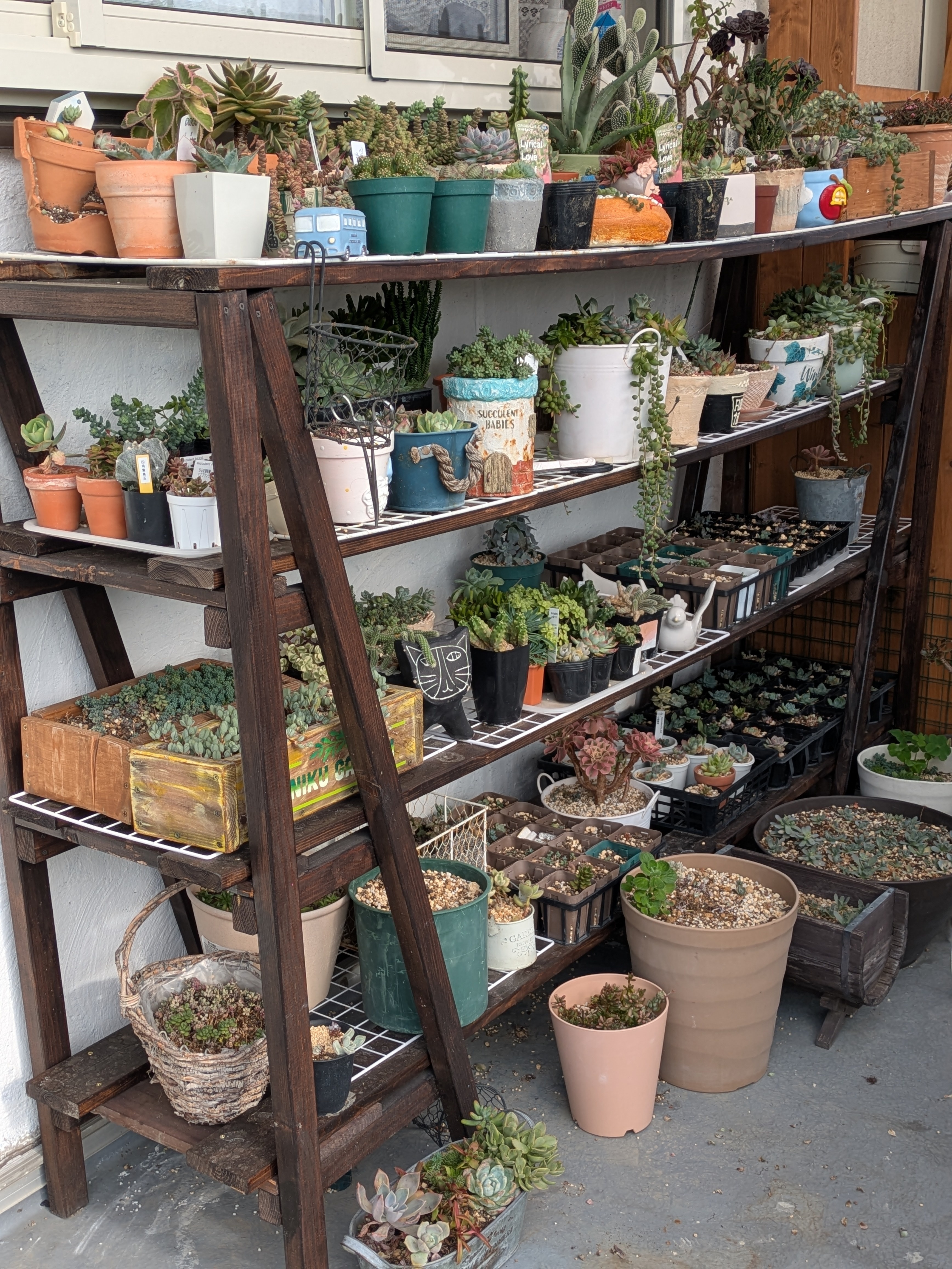 WSの作品をアレンジして多肉棚 | CAINZ DIY Square