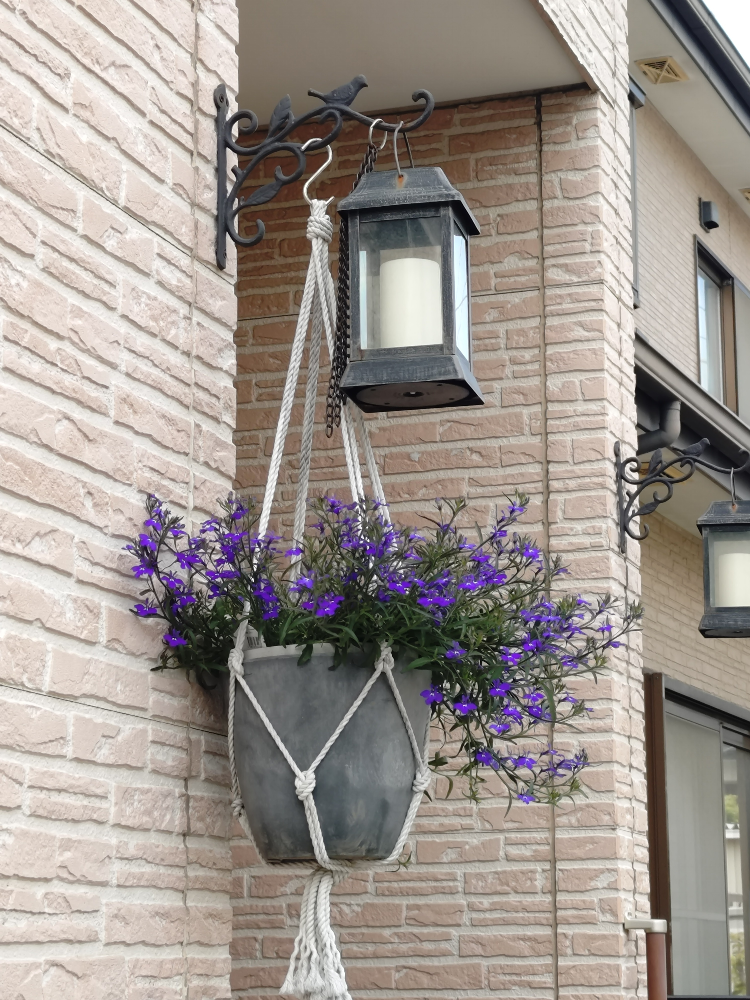 壁掛けお月見ガーランド　秋色紫陽花　パンパスグラス　おたふく南天 玄関前のハンギング | SUNSUNガーデン