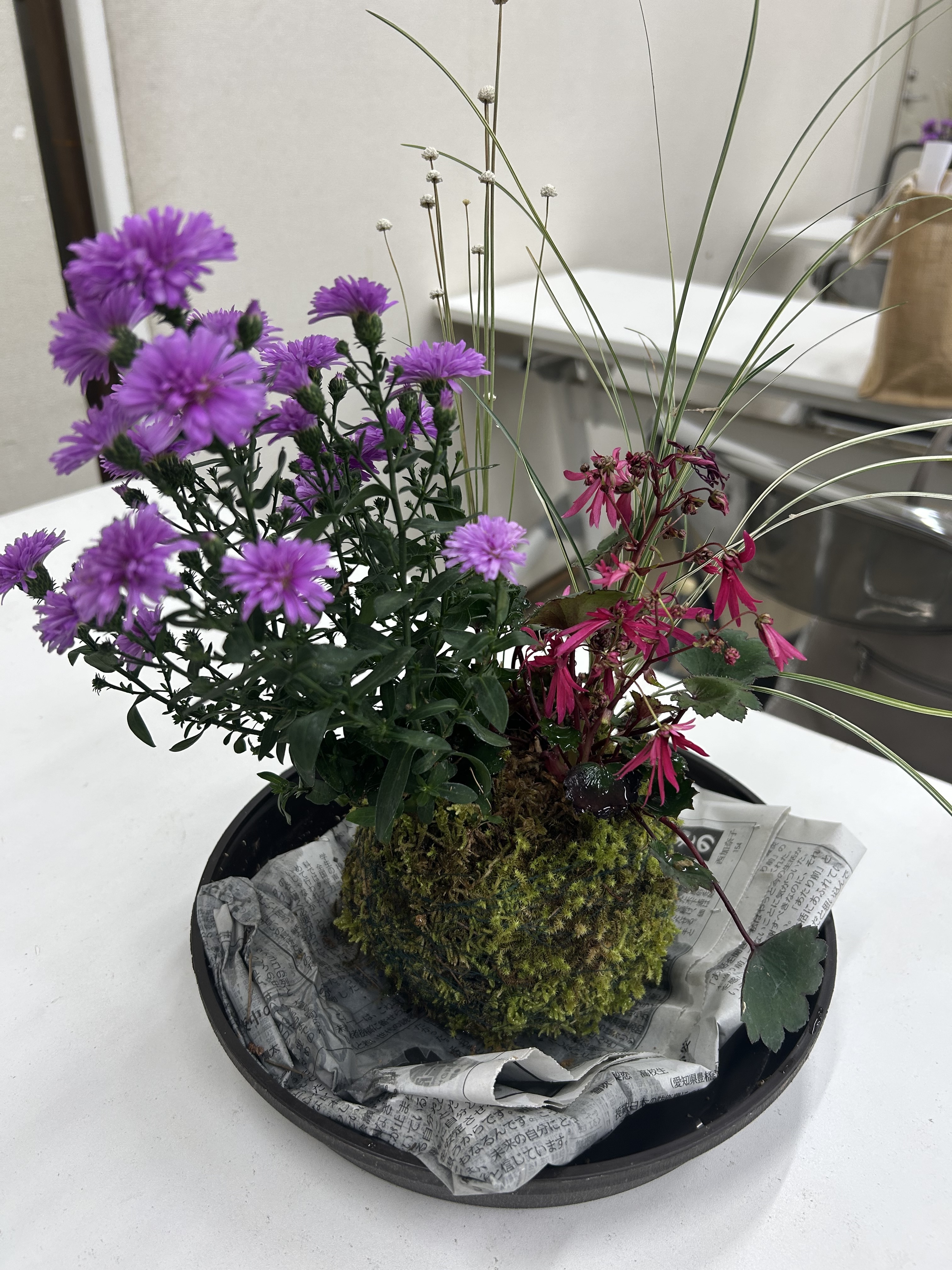 山野草を使った苔玉講座 | CAINZ DIY Square