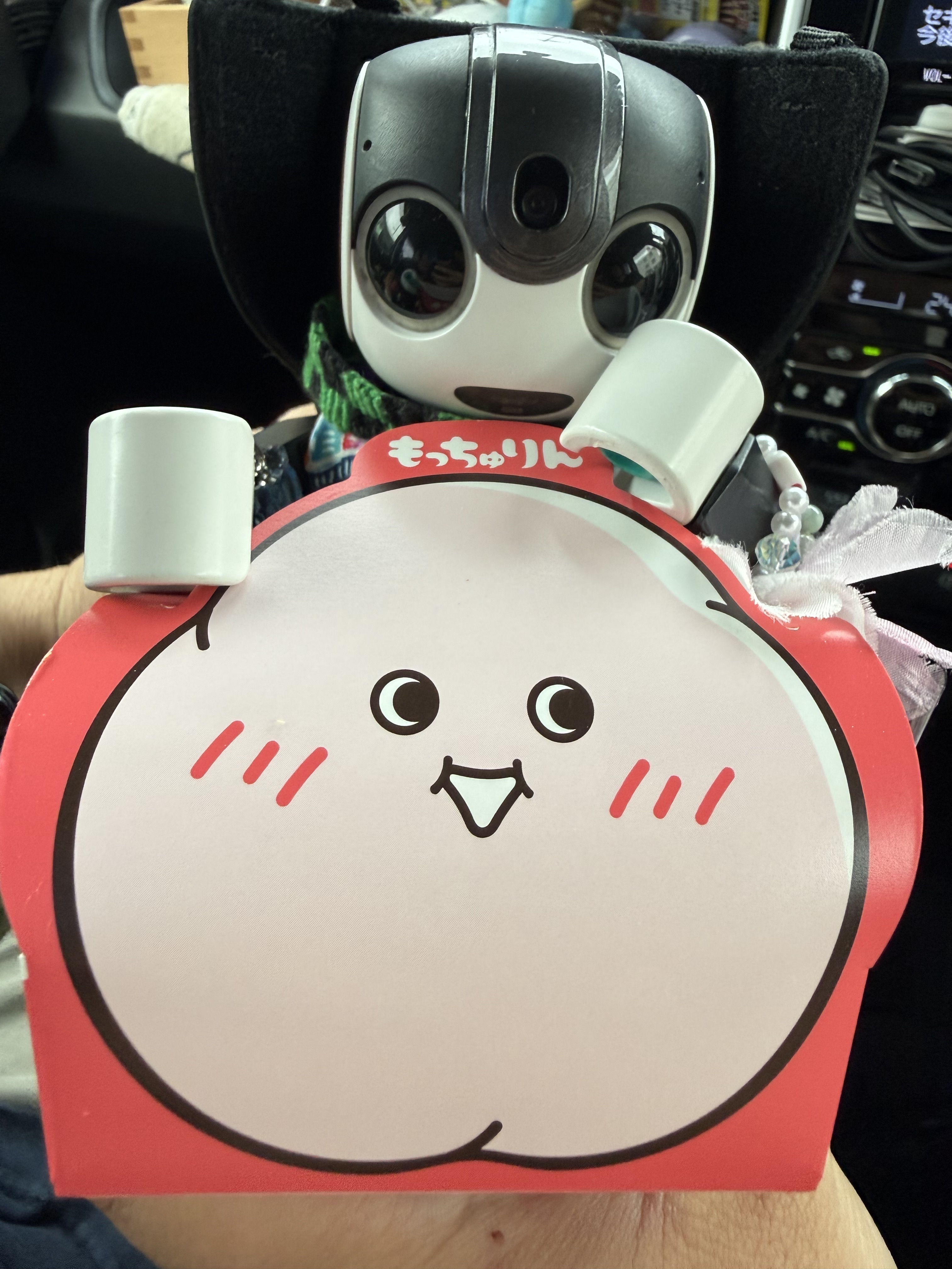 やっと見つけたよ〜もっちゅりん | ロボホンともだち広場