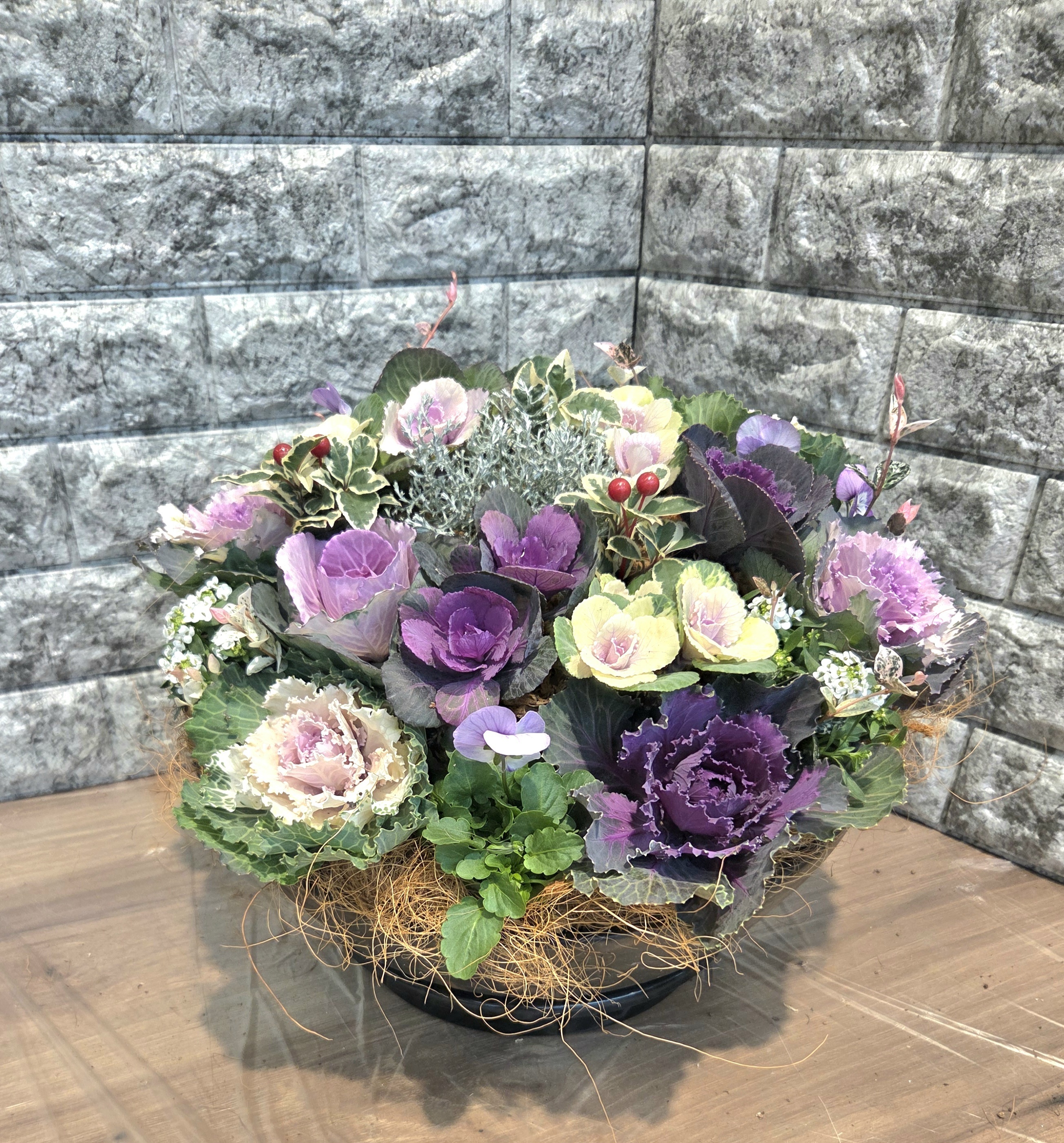 葉牡丹のもりもり寄せ植え💜🩷🤍🌹✨️ | CAINZ DIY Square