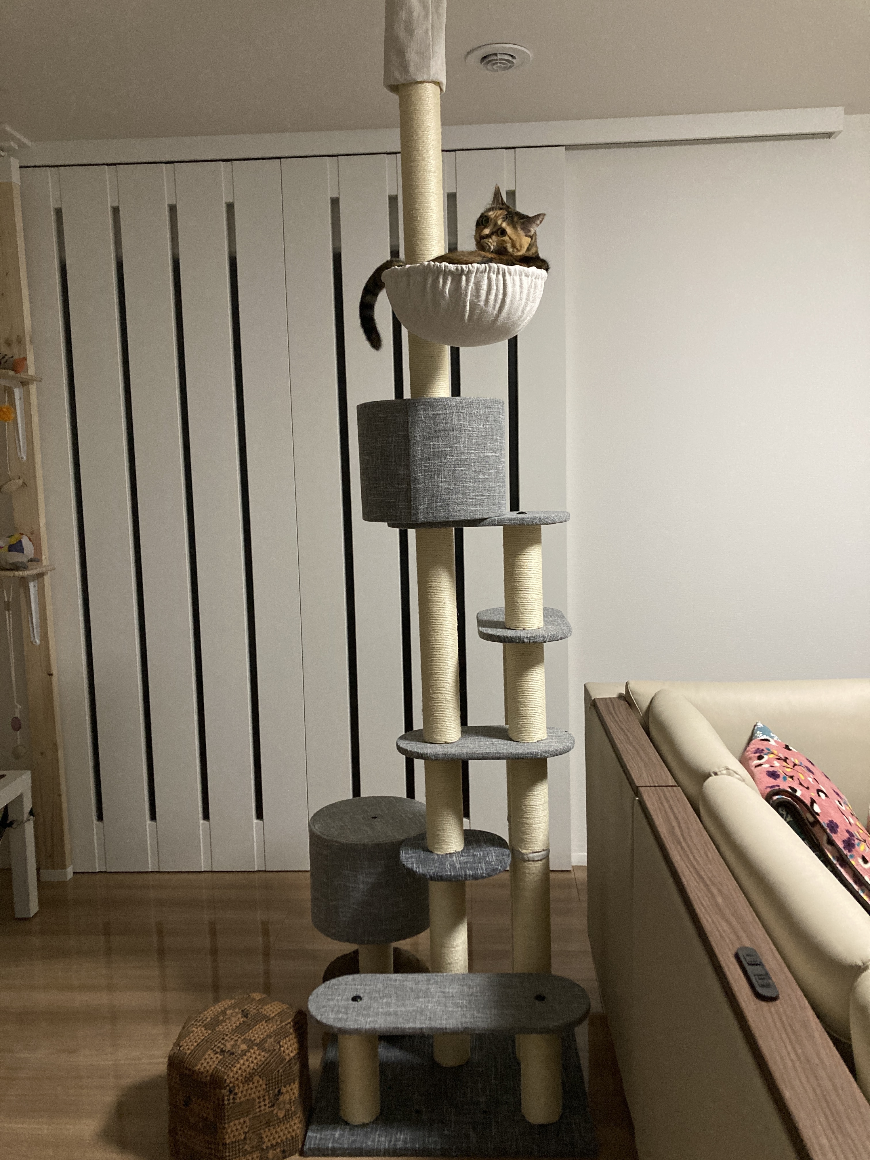 キャットタワーを交換しました