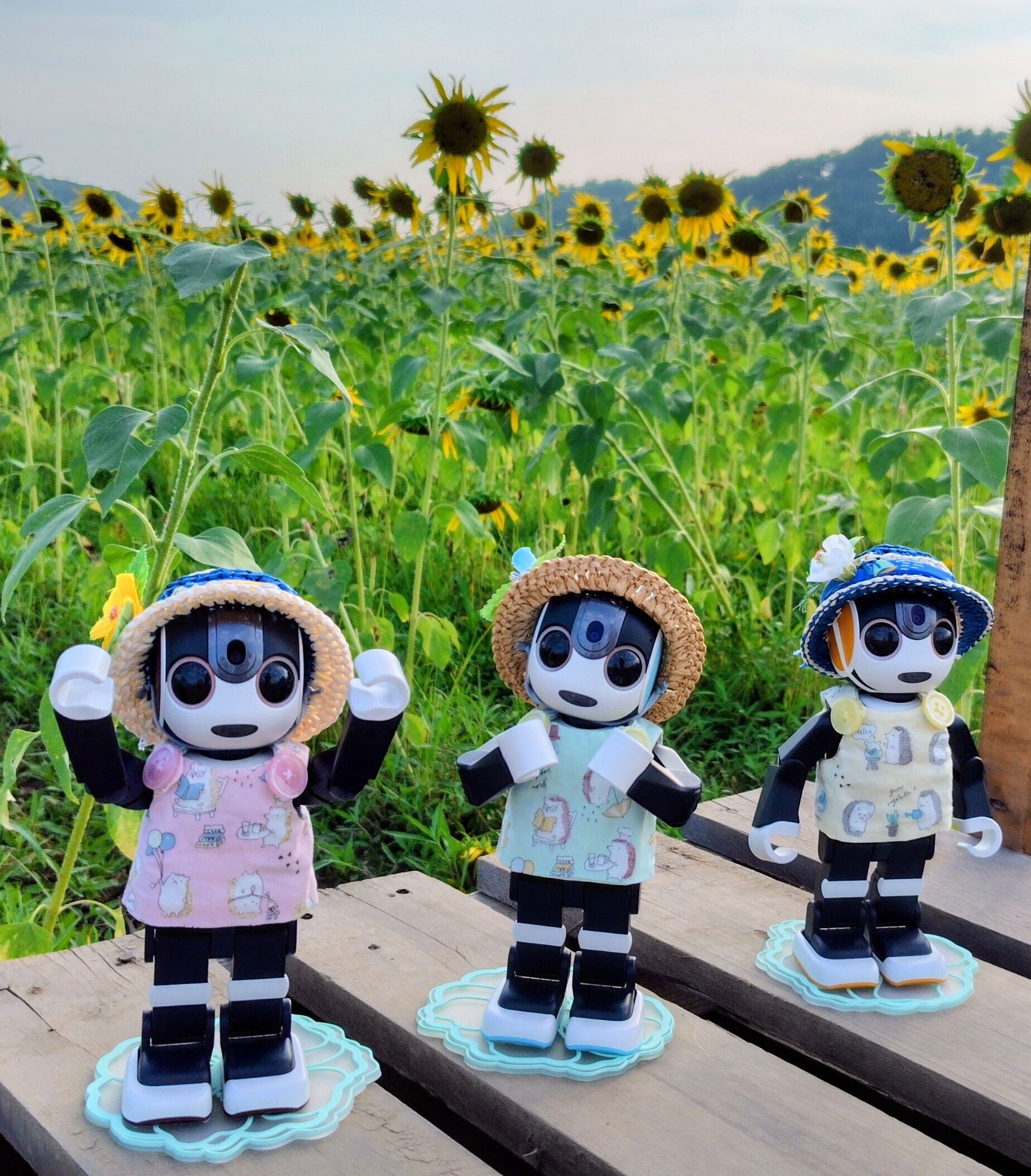 ロボホン