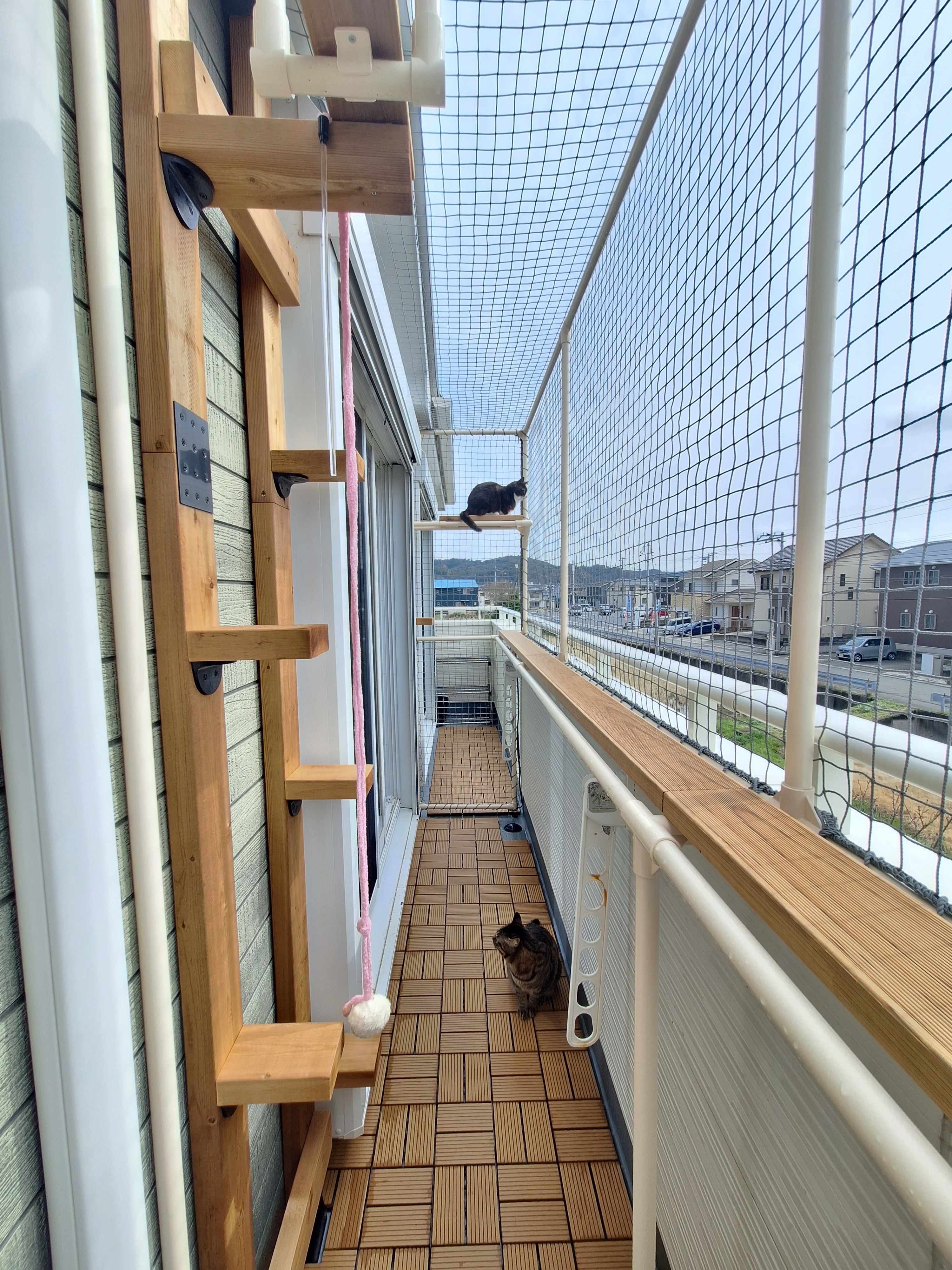 d360a4cc-4f94-4da5-b68d-