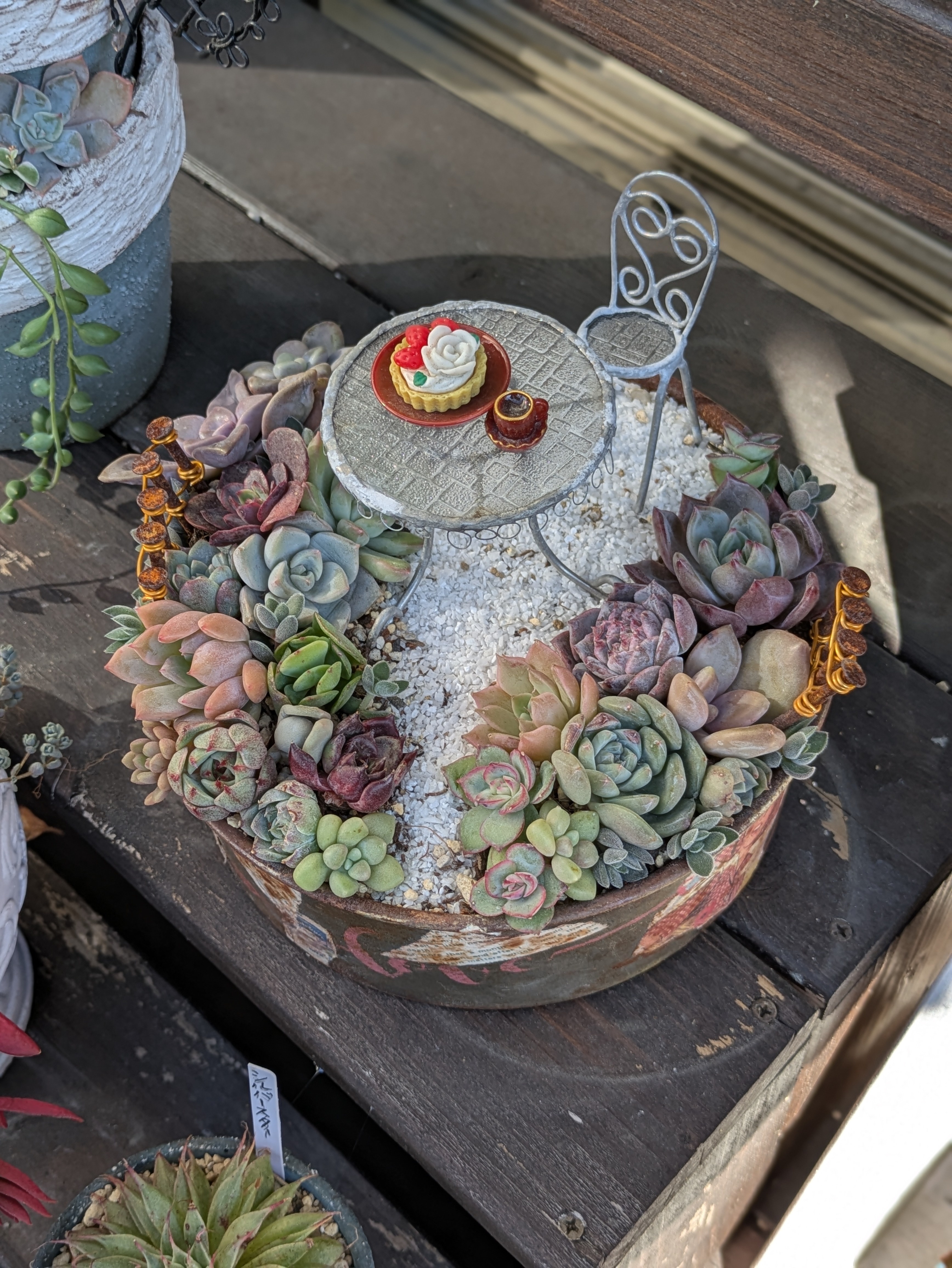 多肉寄せ植え【アンティークガーデン】 | CAINZ DIY Square
