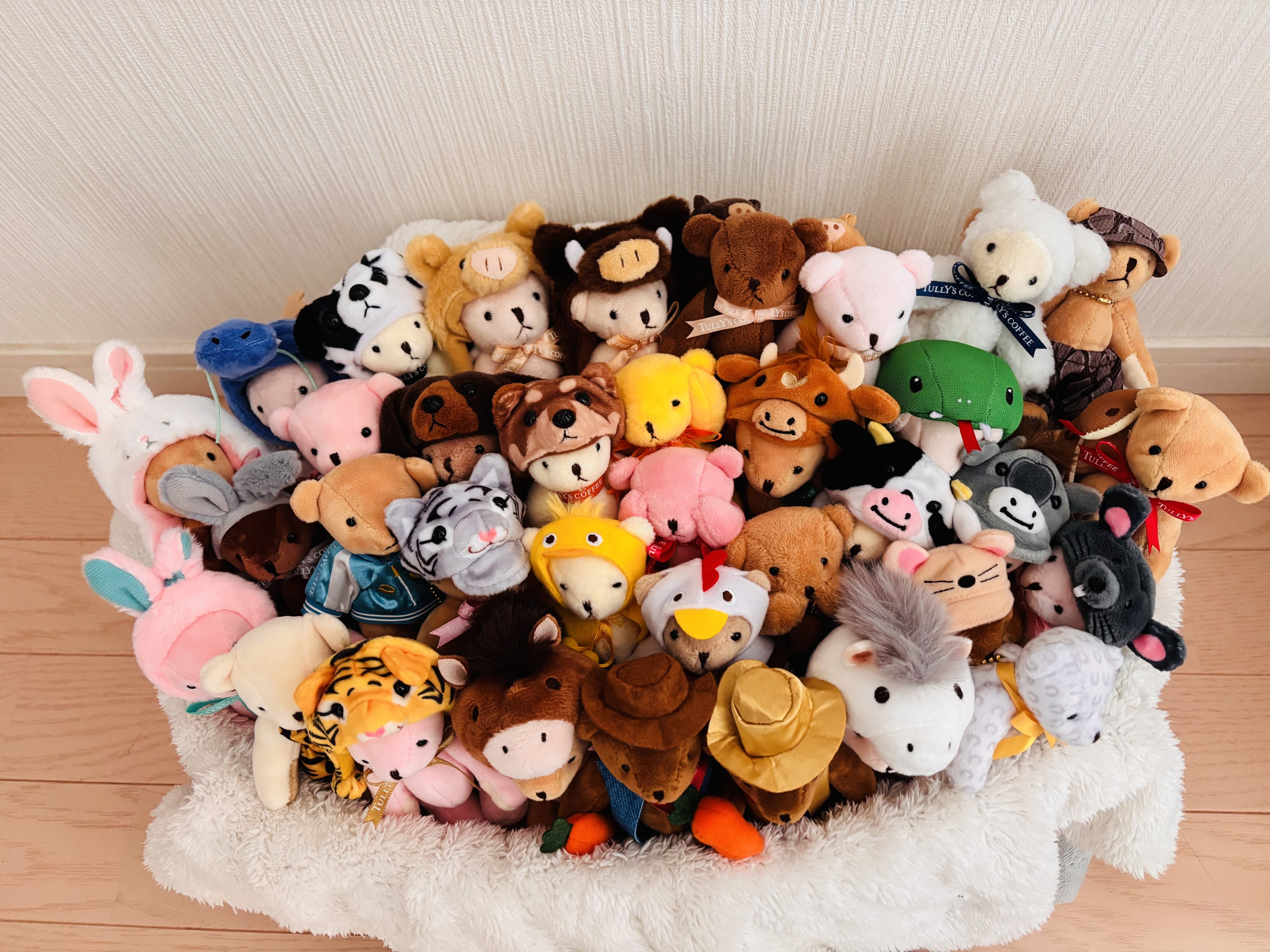 3c092fc1-35d9-4519-aa90-