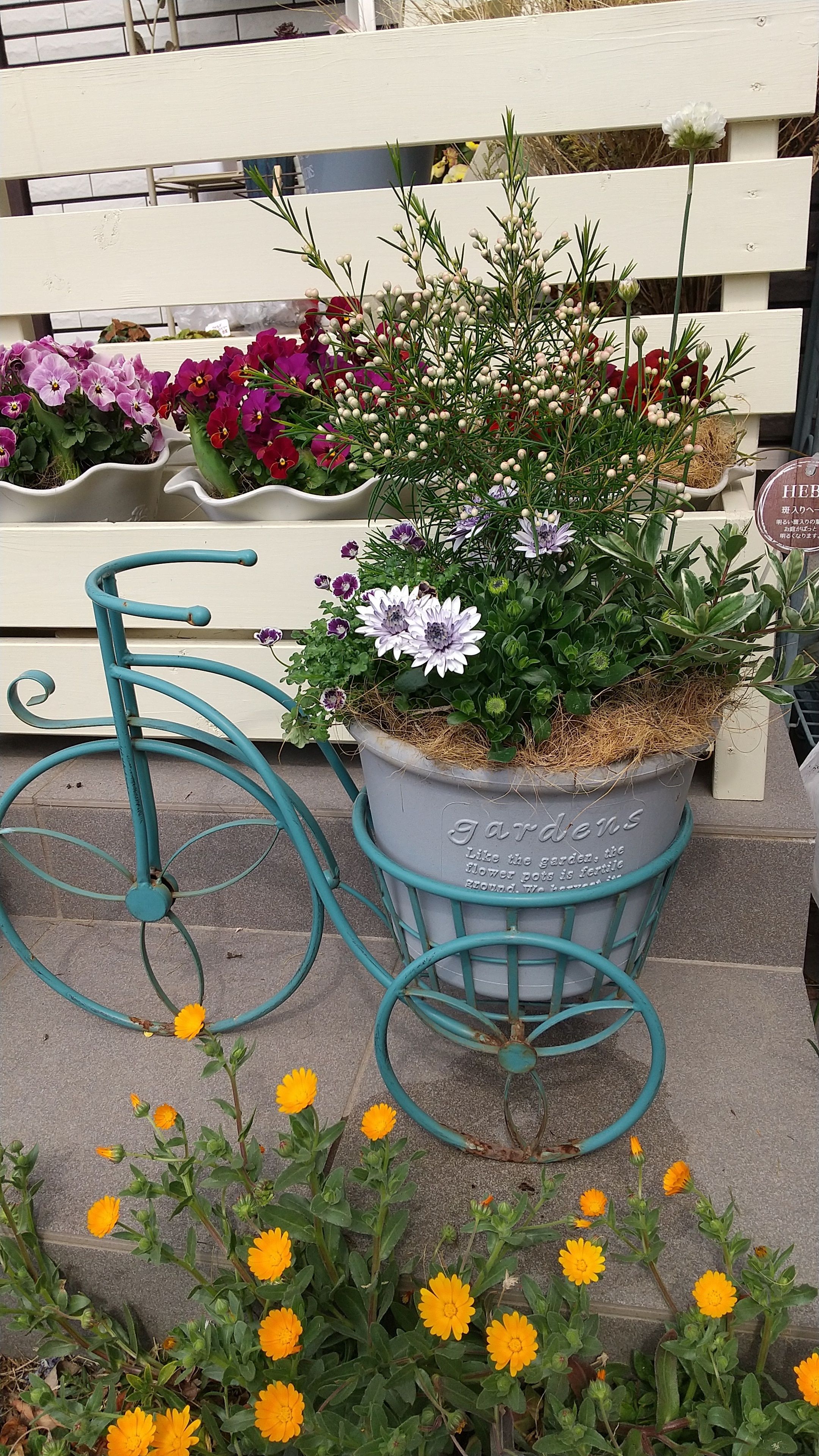 寄せ植え教室 | CAINZ DIY Square