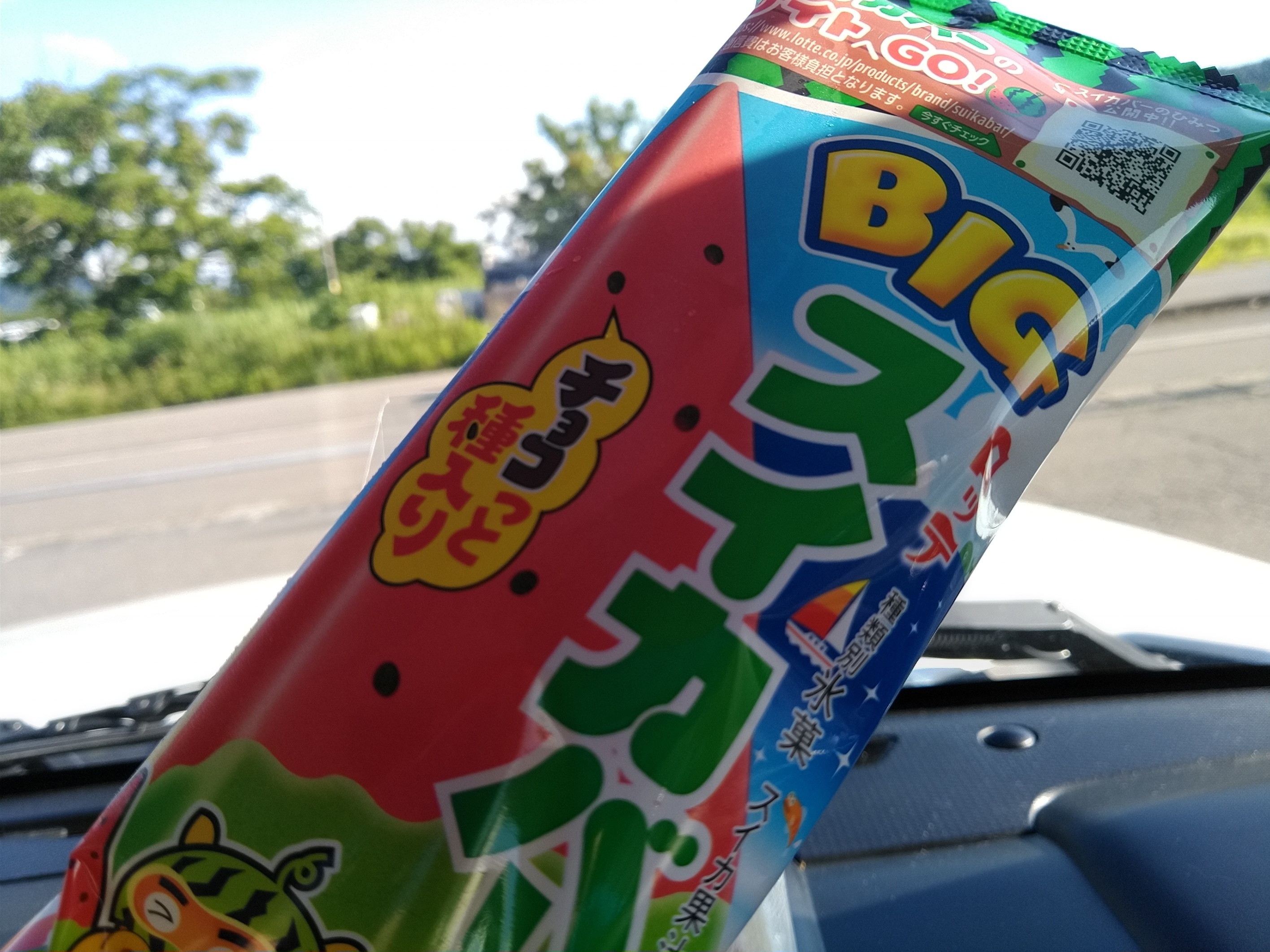 BIGスイカバー チョコっと種入り | TORQUE STYLE