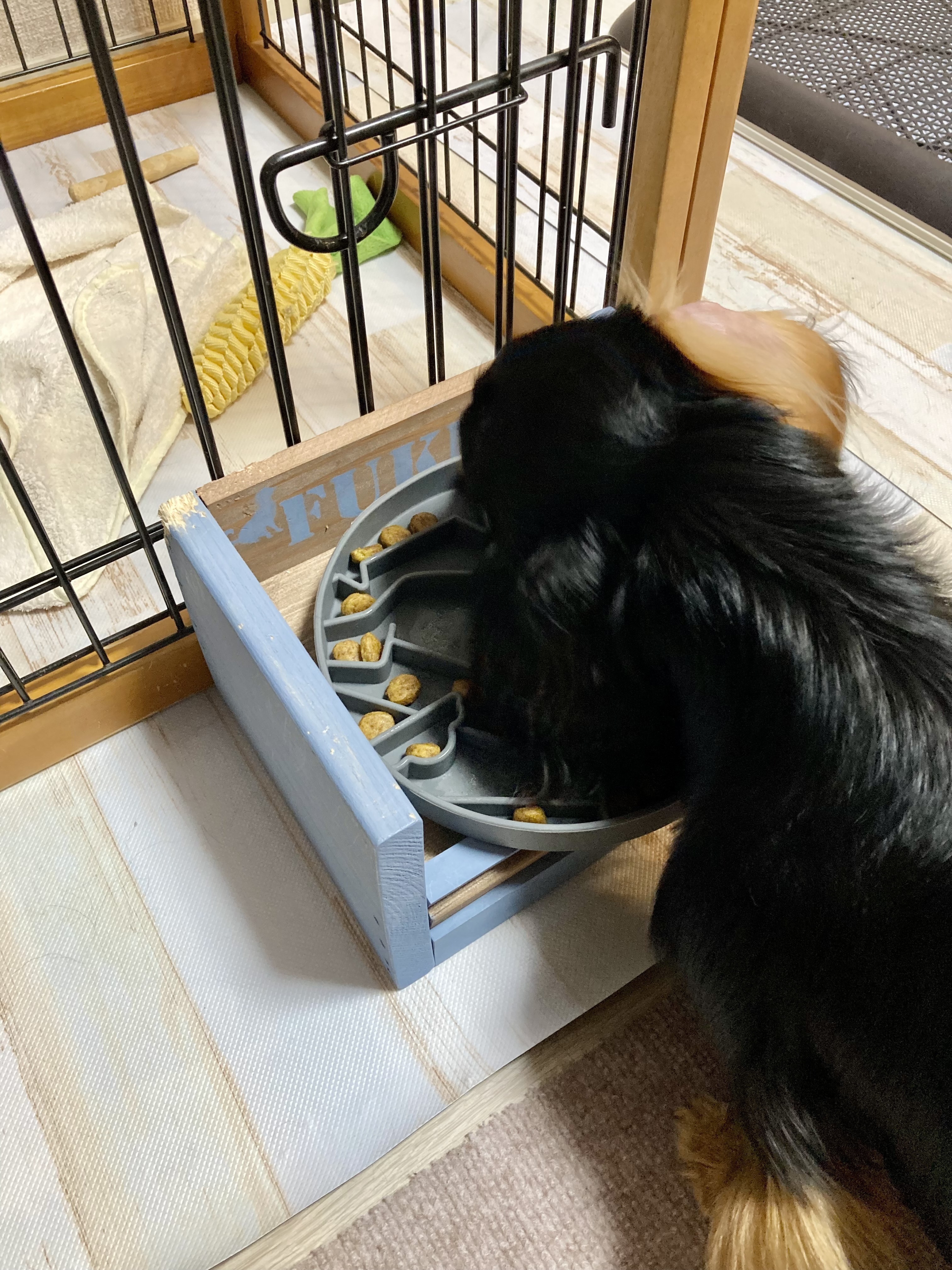 早食い防止