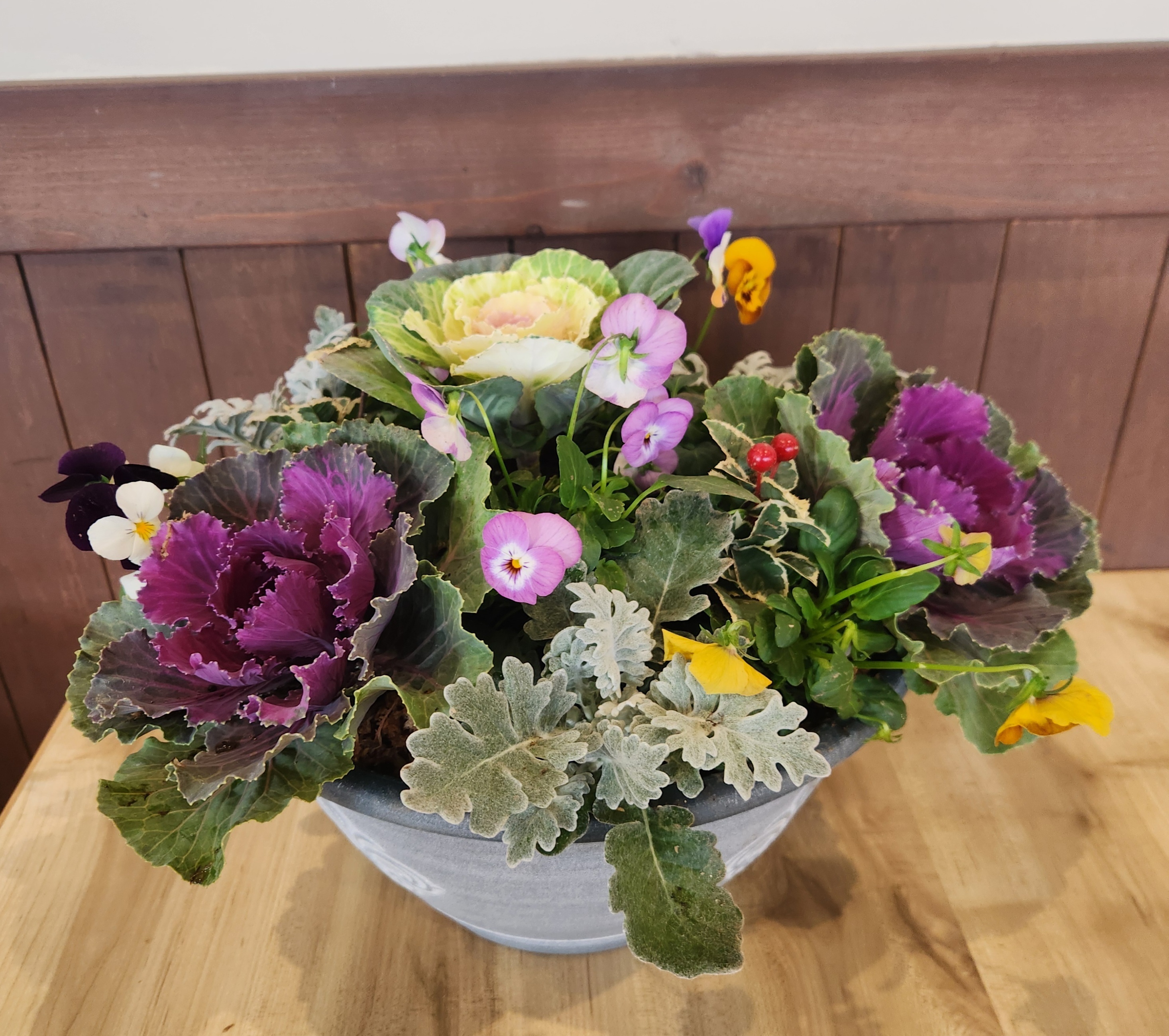 * * *ほっこり冬カラーの寄せ植え ほっこり冬カラーの寄せ植え 【公式通販】