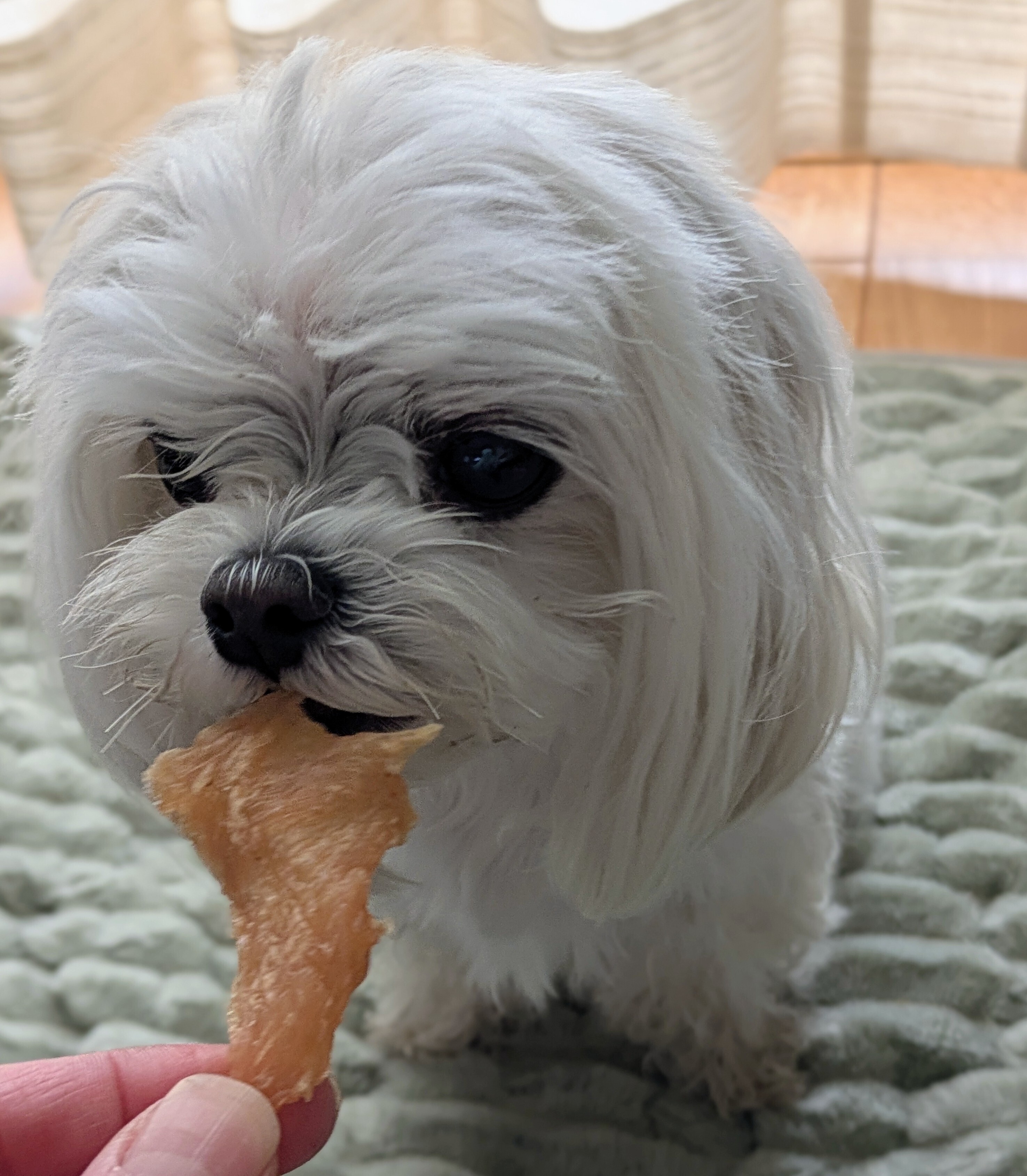 大好きなおやつ💖