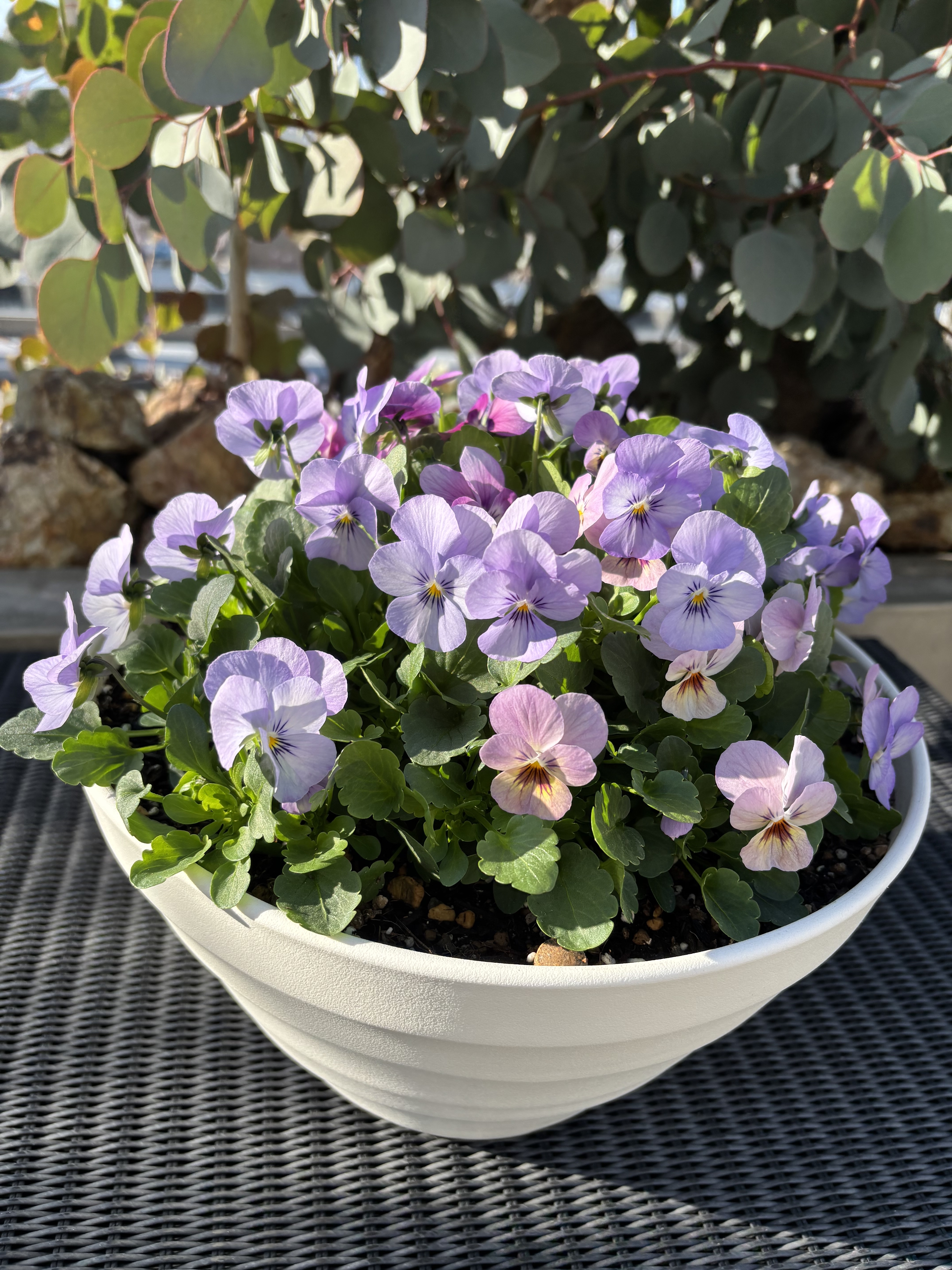 レア⭐︎ディズニー ⭐︎バンビ⭐︎フラワー⭐︎ウォーターファウンテン ディズニー『バンビ』のキャラクターたちがガシャポンフィギュア「なら