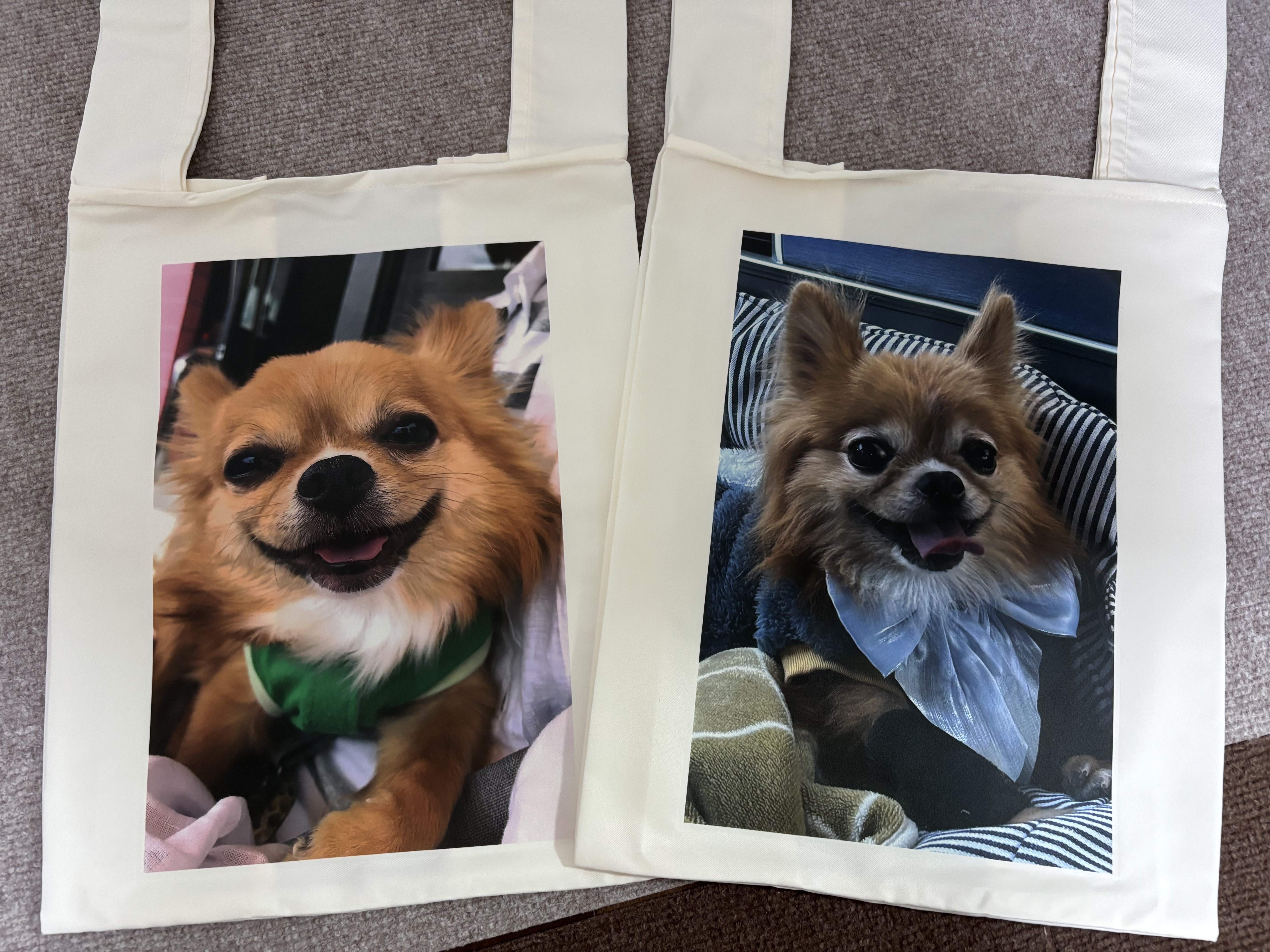 わん祭りで作ったオリジナルエコバッグ🐶
