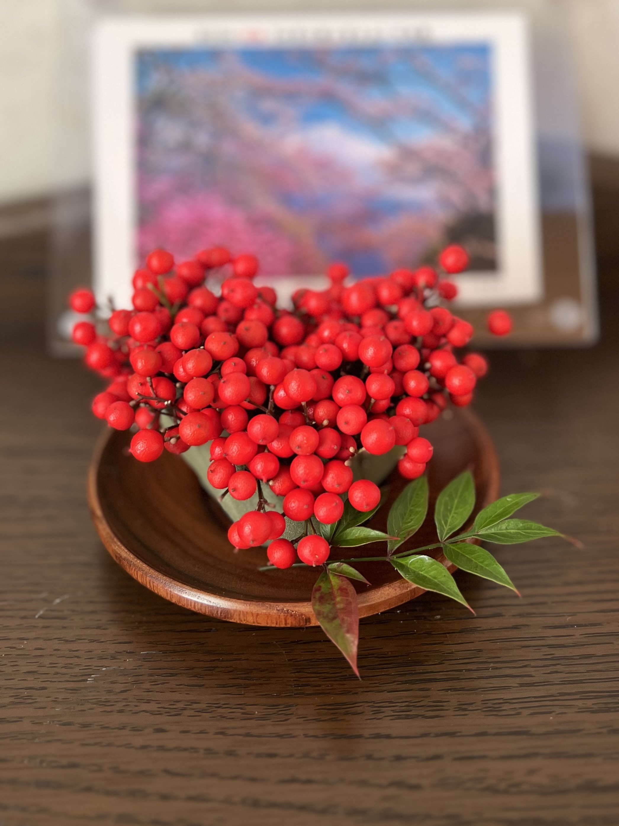 南天の実をアレンジ❤️🌿 | CAINZ DIY Square