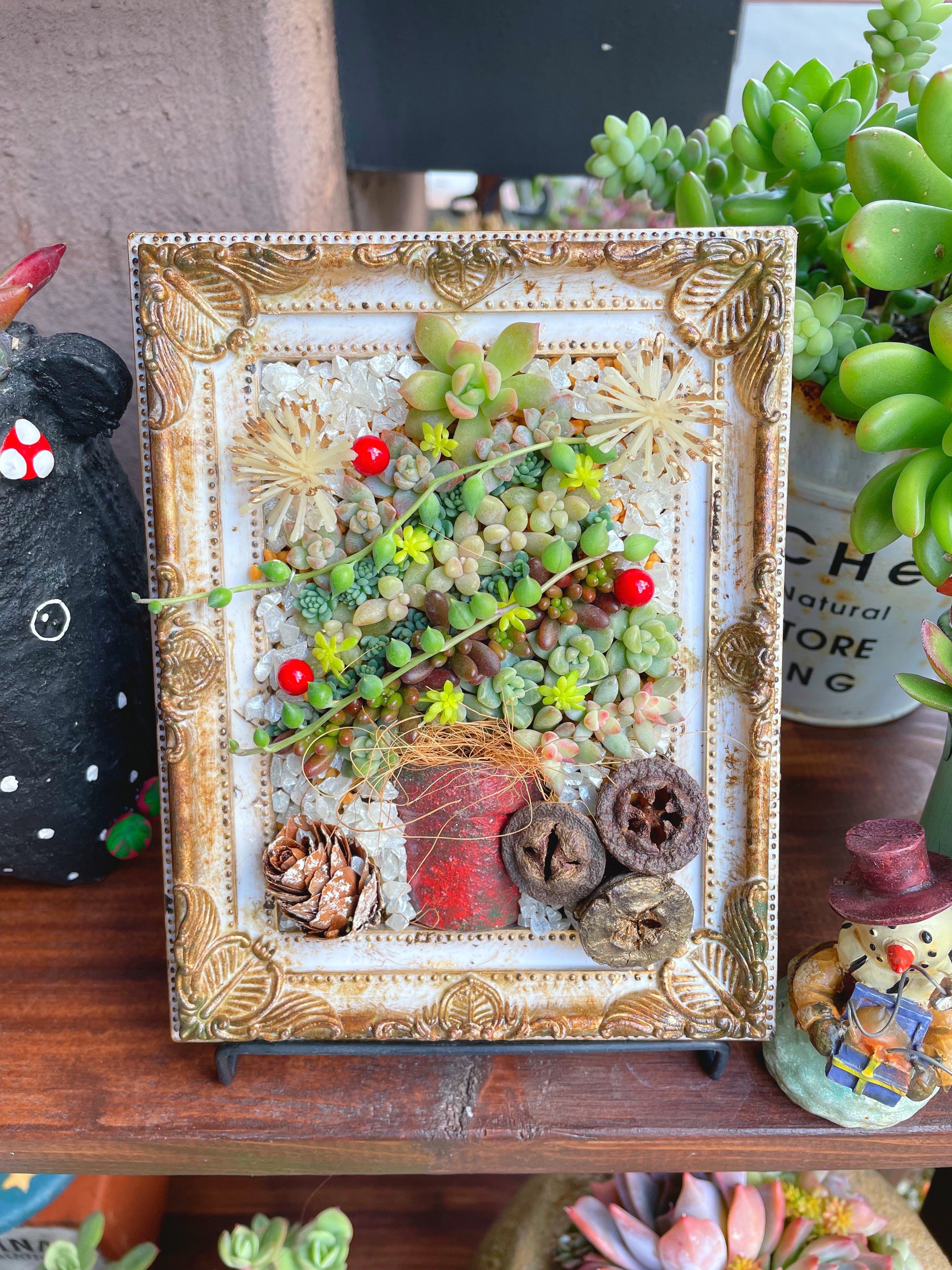 多肉のクリスマスツリー🎄✨✨ | CAINZ DIY Square