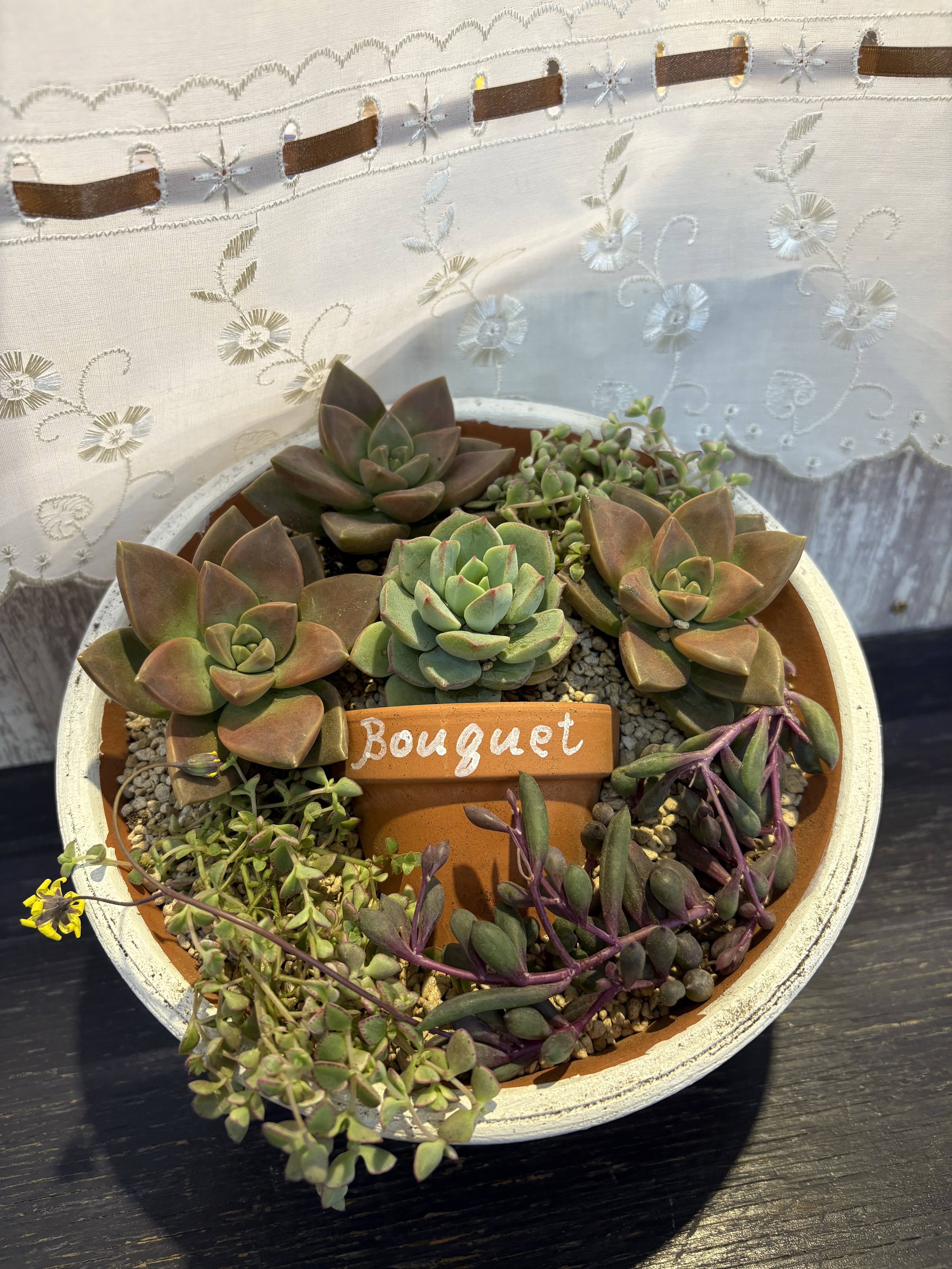 多肉植物の花束💐 | CAINZ DIY Square