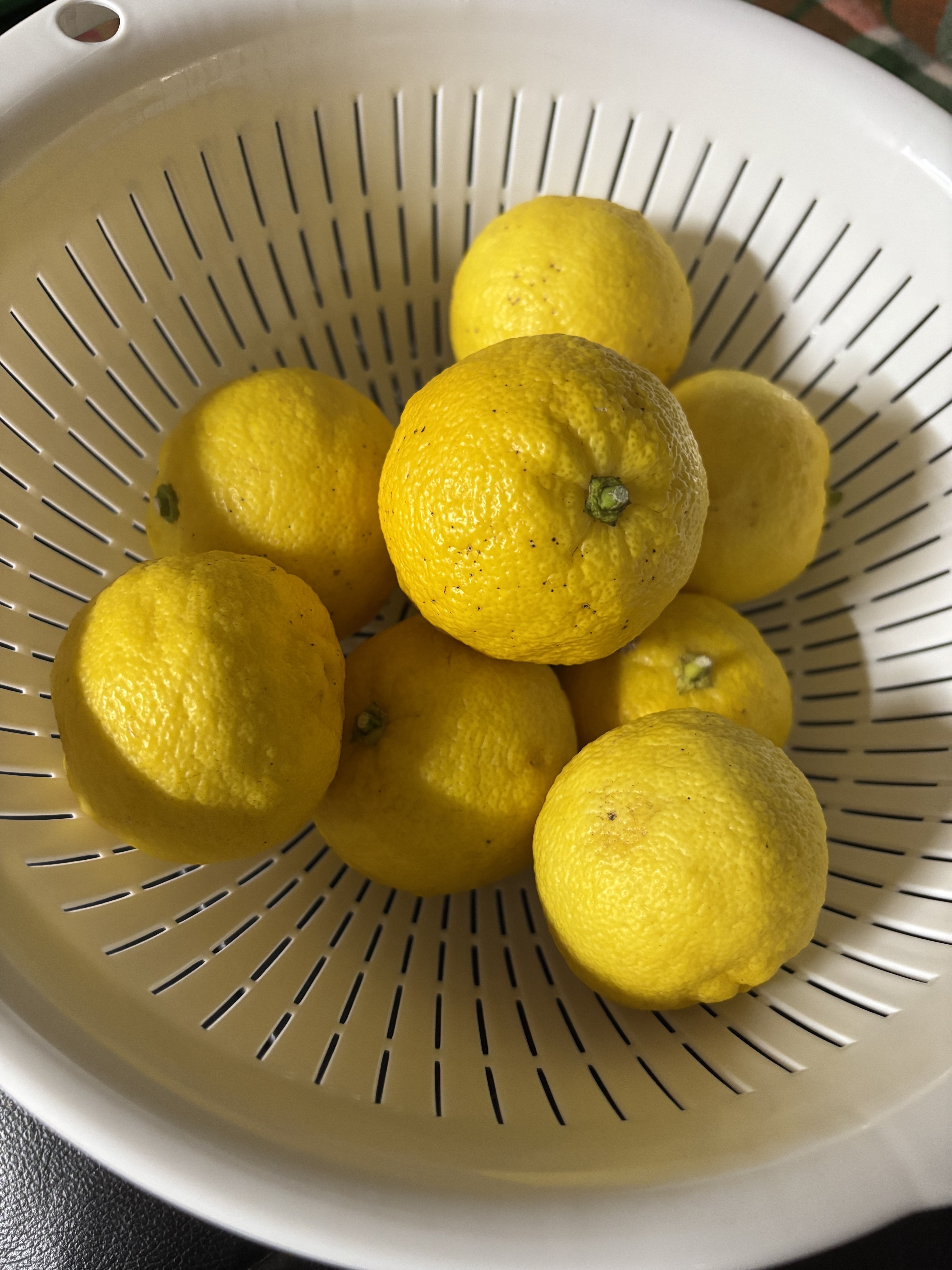 ゆちゃページ JTC BABY｜製品カタログ｜三輪車・乗用玩具