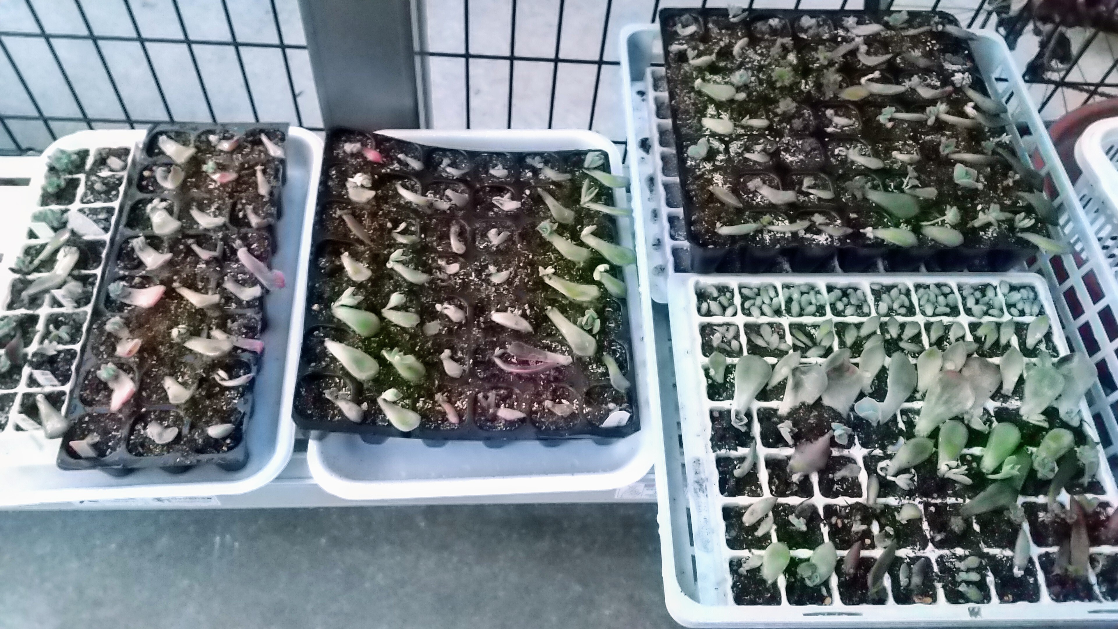 a7de6e95-46a4-4d42-8351-