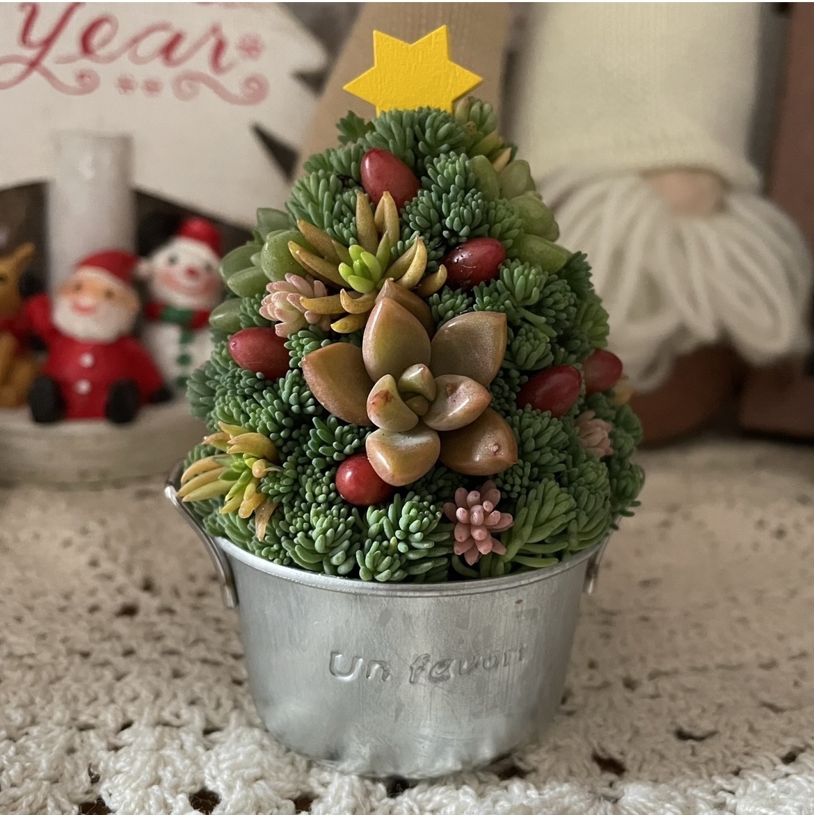 多肉植物 クリスマスツリー型 db3c75d7-a1db-469c-8cce-