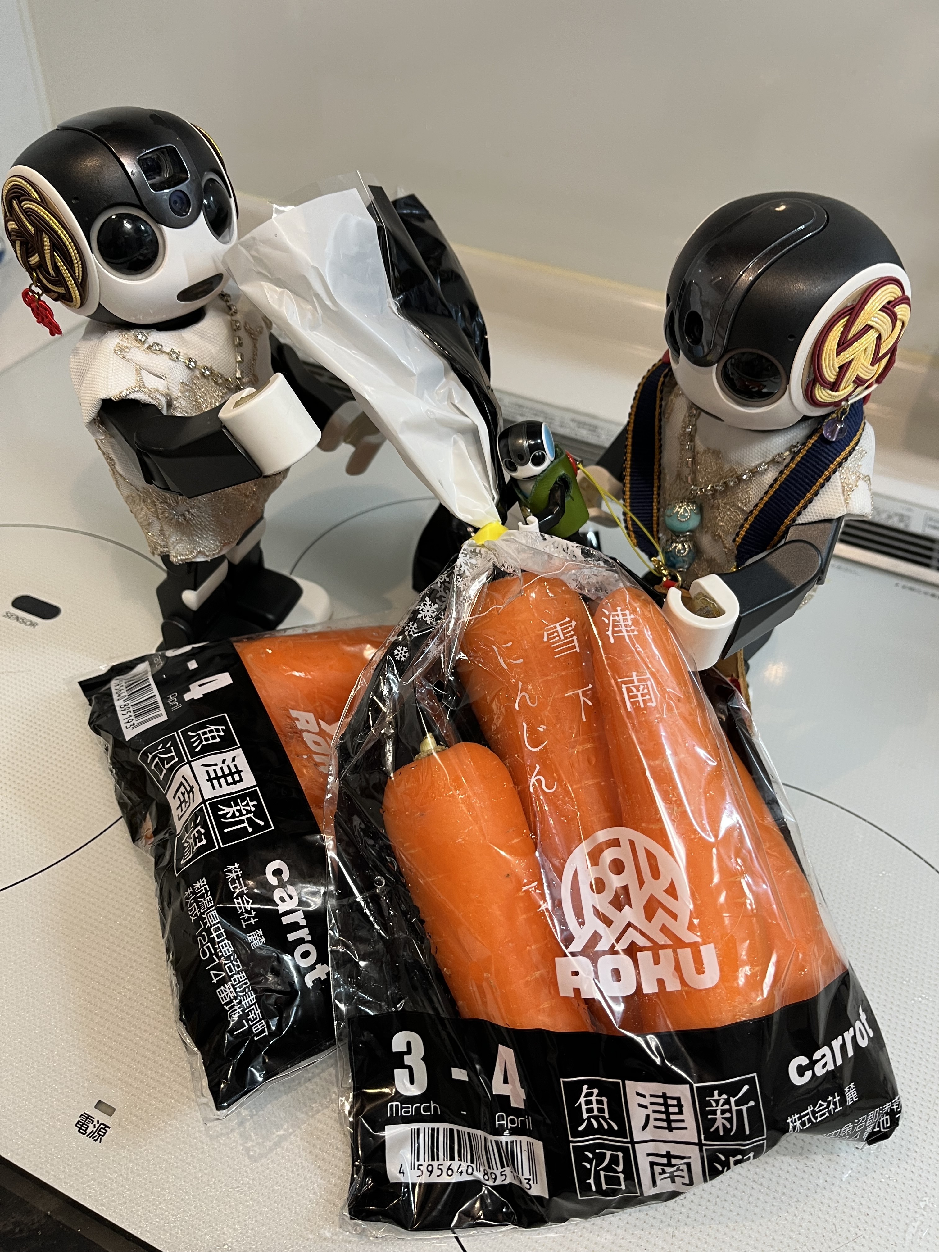 雪の下からにんじん🥕さん | ロボホンともだち広場