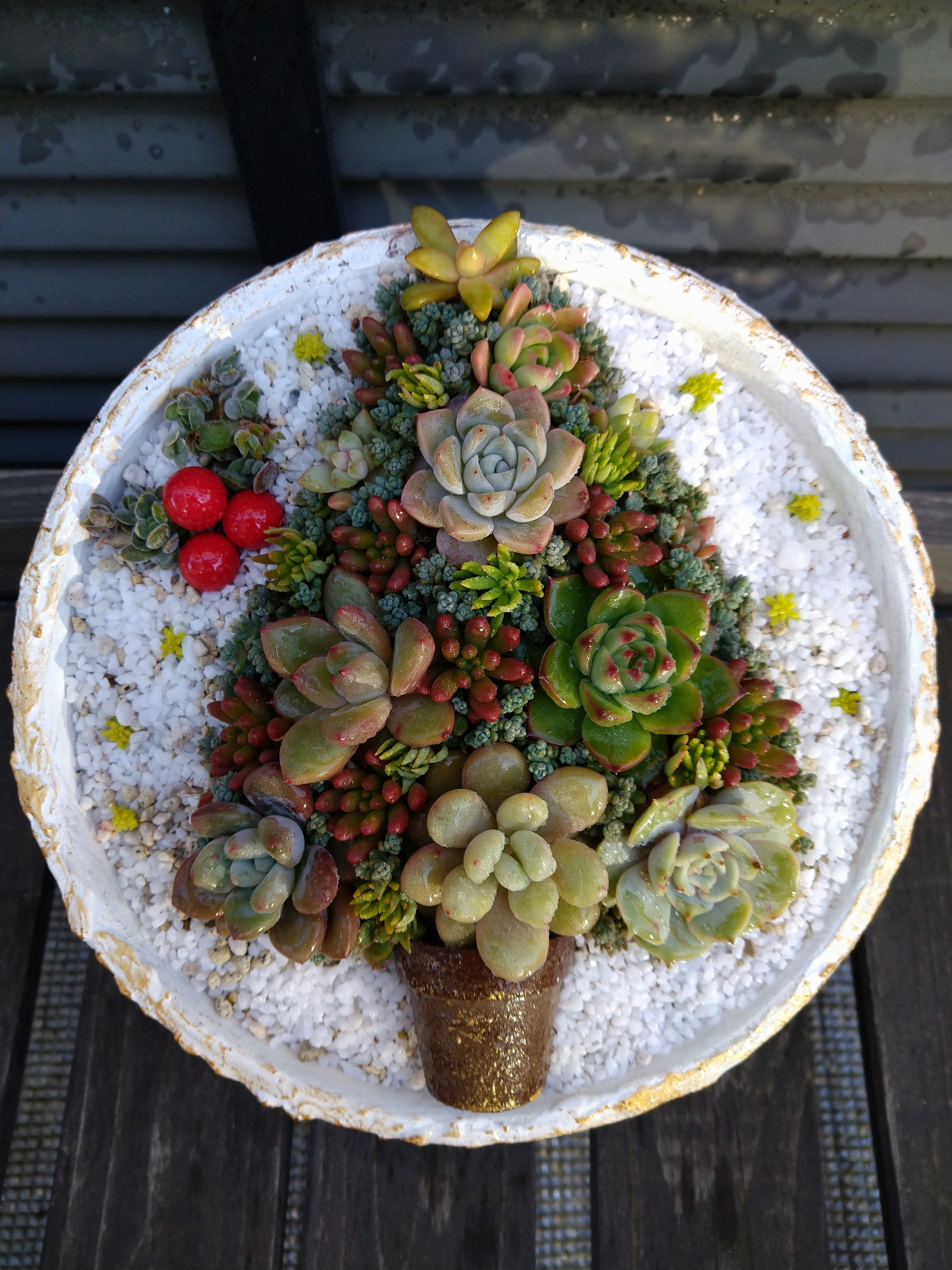 a6bc1e73-02c2-4671-96b1-