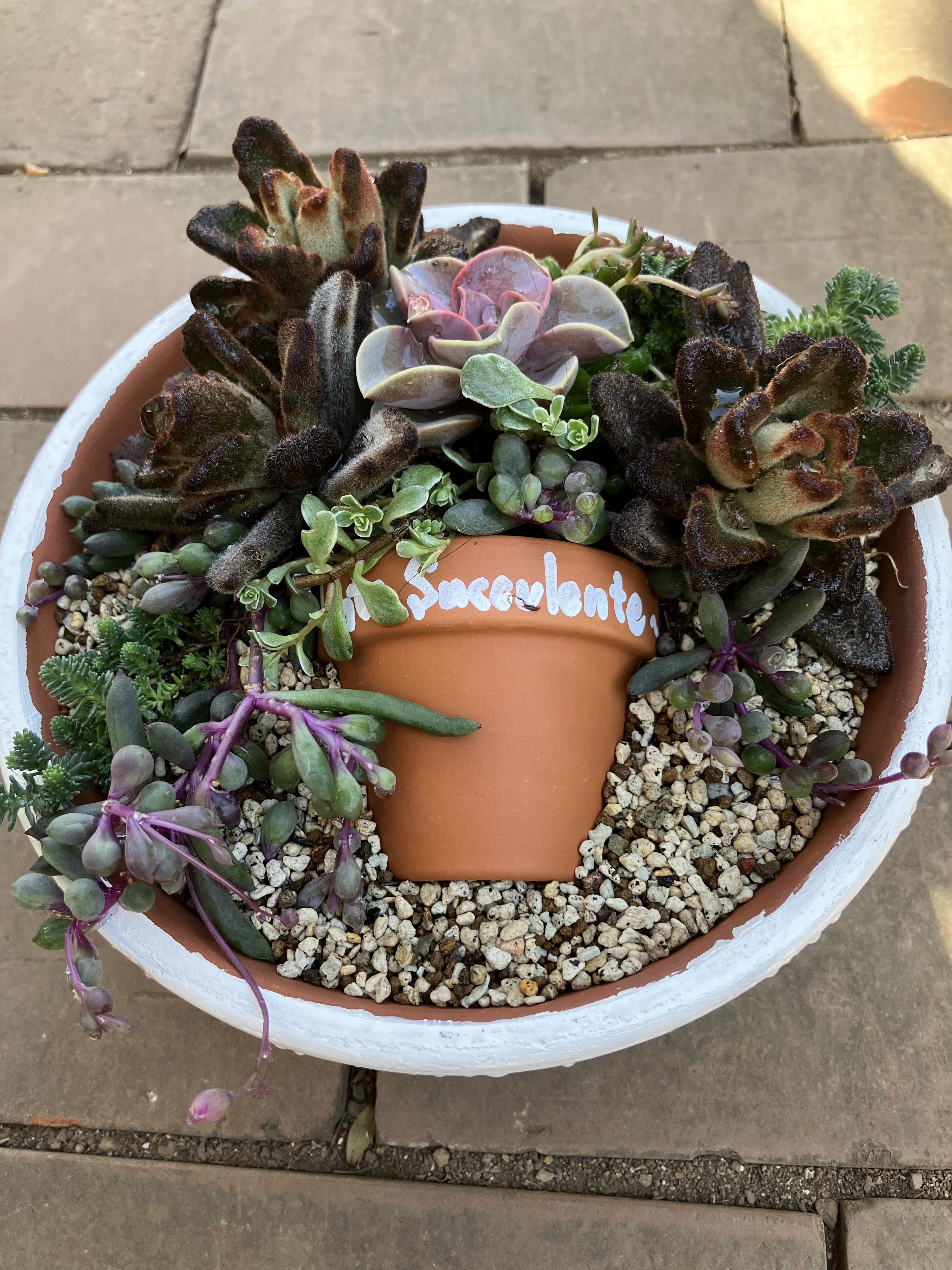 ひぃちゃん様 多肉植物棚 GAI-W80AW 多肉植物棚GAI-W80A（棚＋トレー）