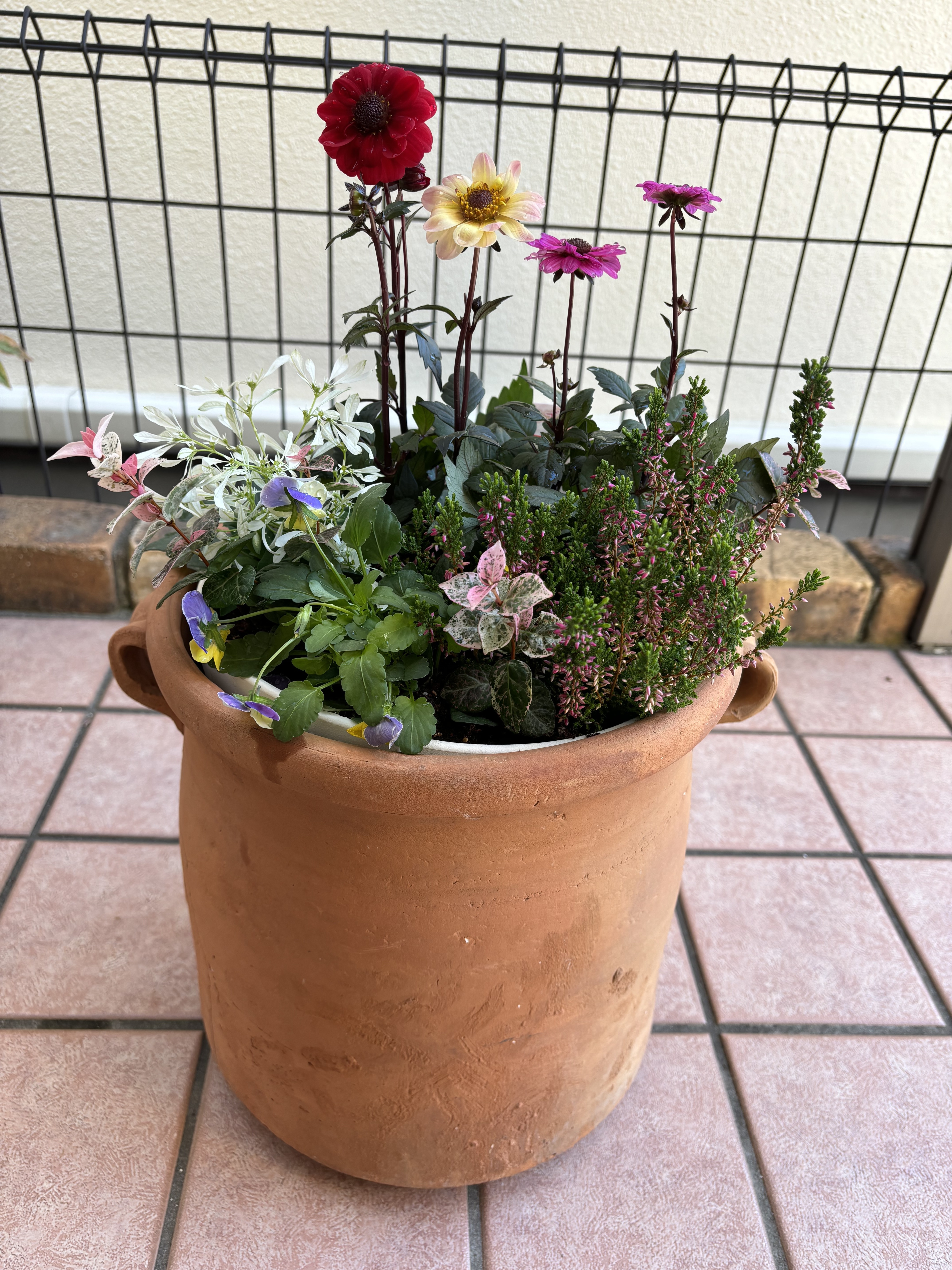 ヒビ割れたステキ鉢🪴…その後 | CAINZ DIY Square