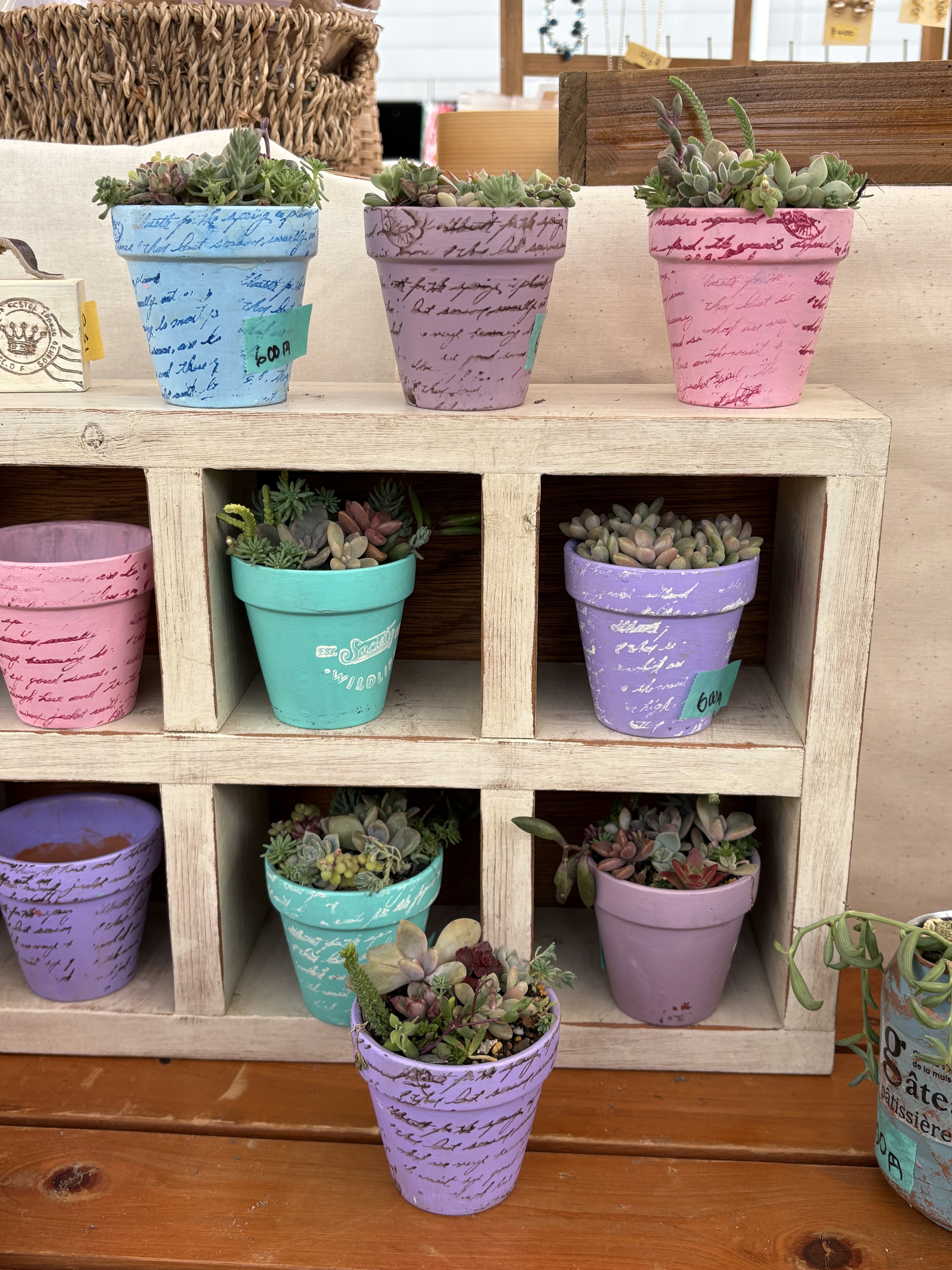 リメイク鉢に寄せ植え | CAINZ DIY Square