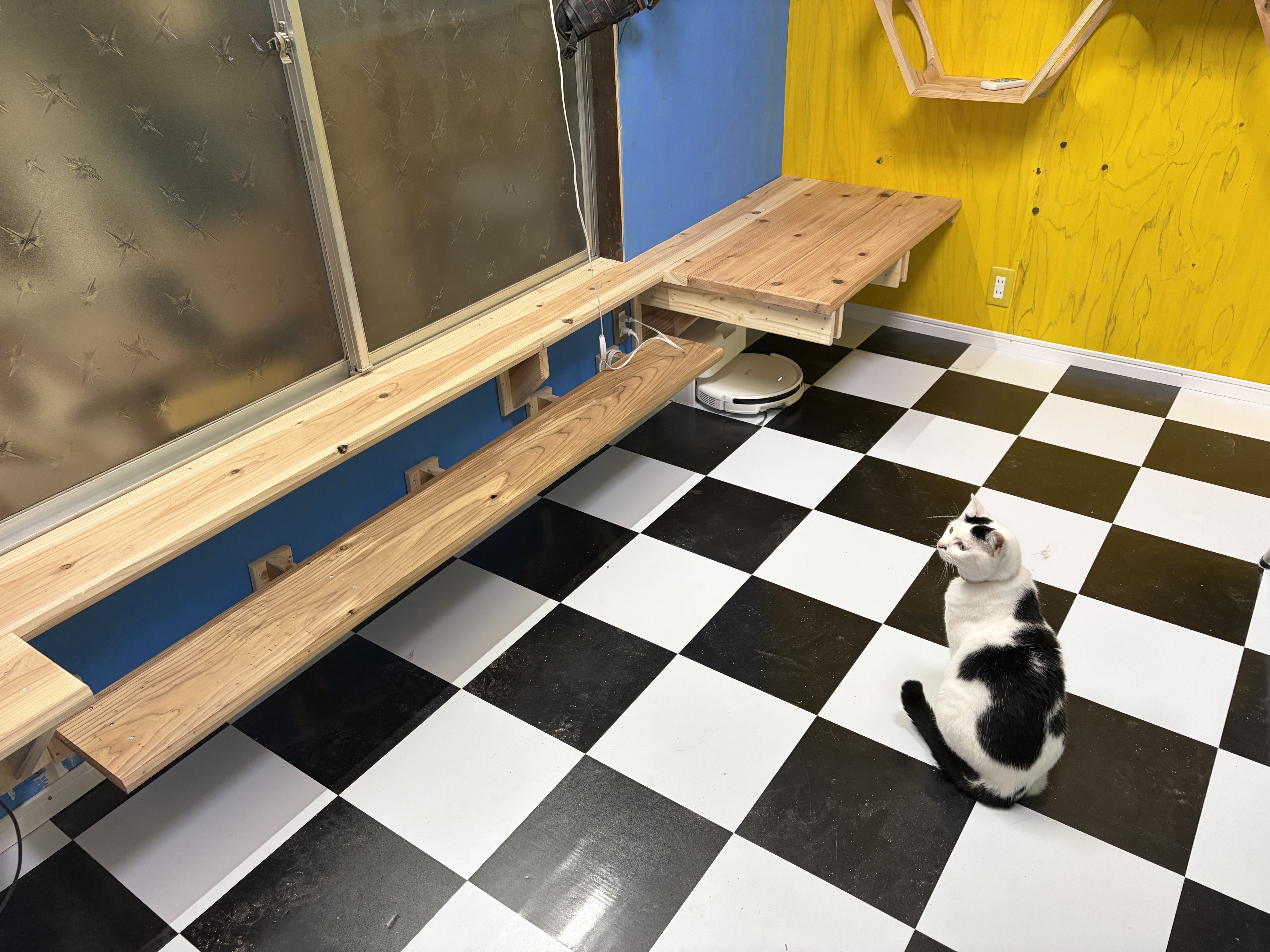 猫部屋の通路など作成　DIY
