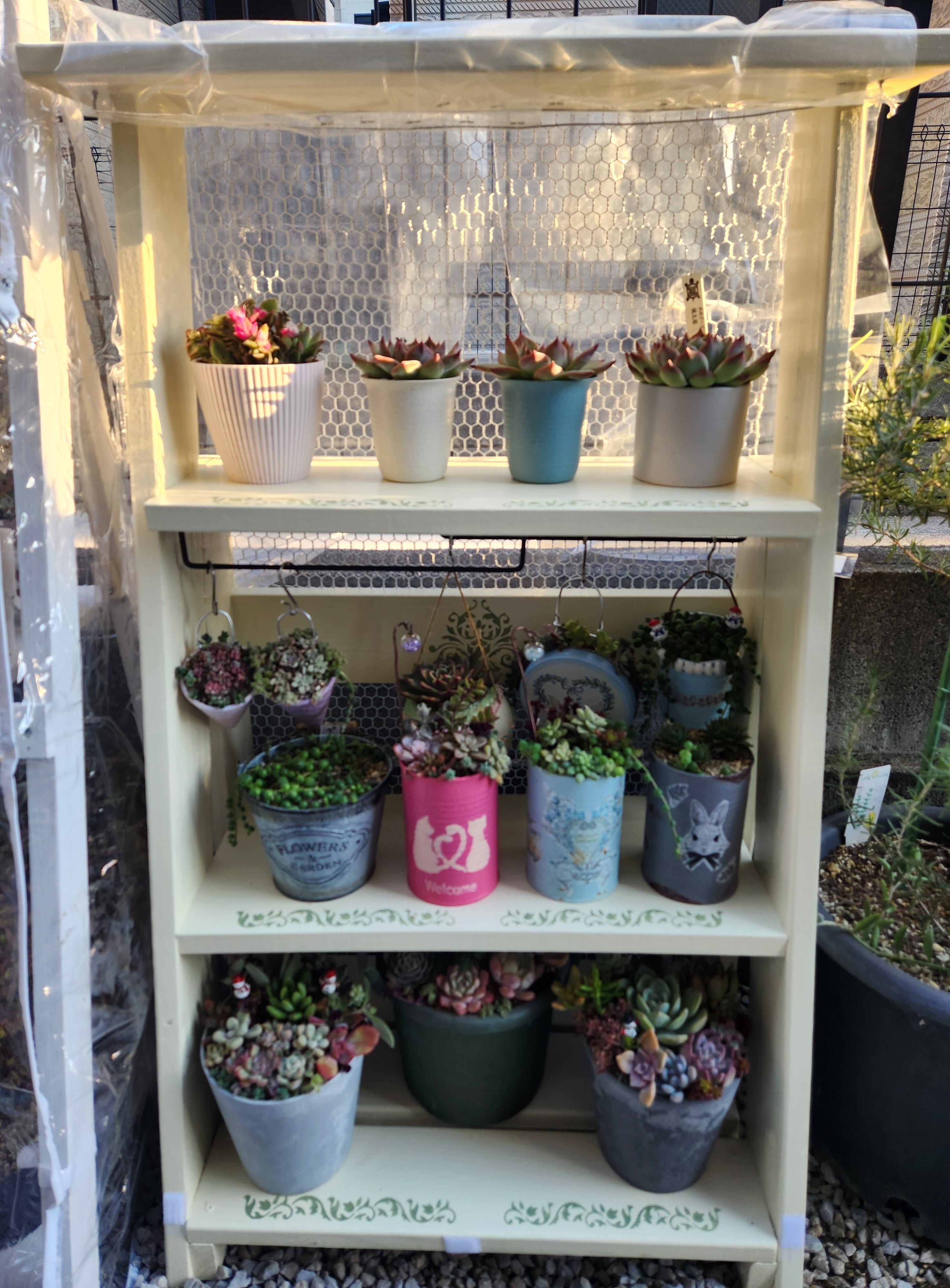 足場風3段ラックに多肉植物 | CAINZ DIY Square